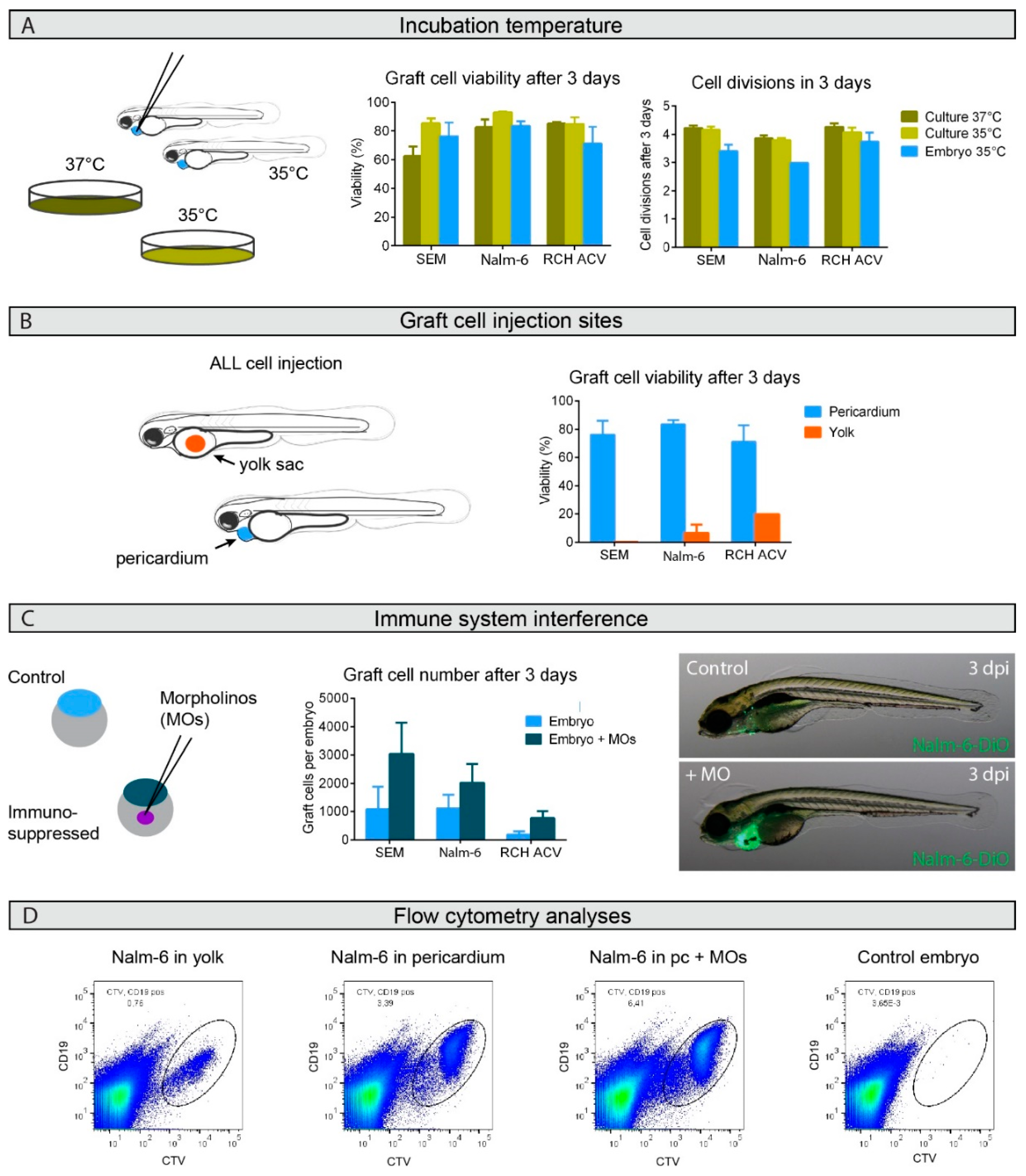 Cancers 12 01883 g001