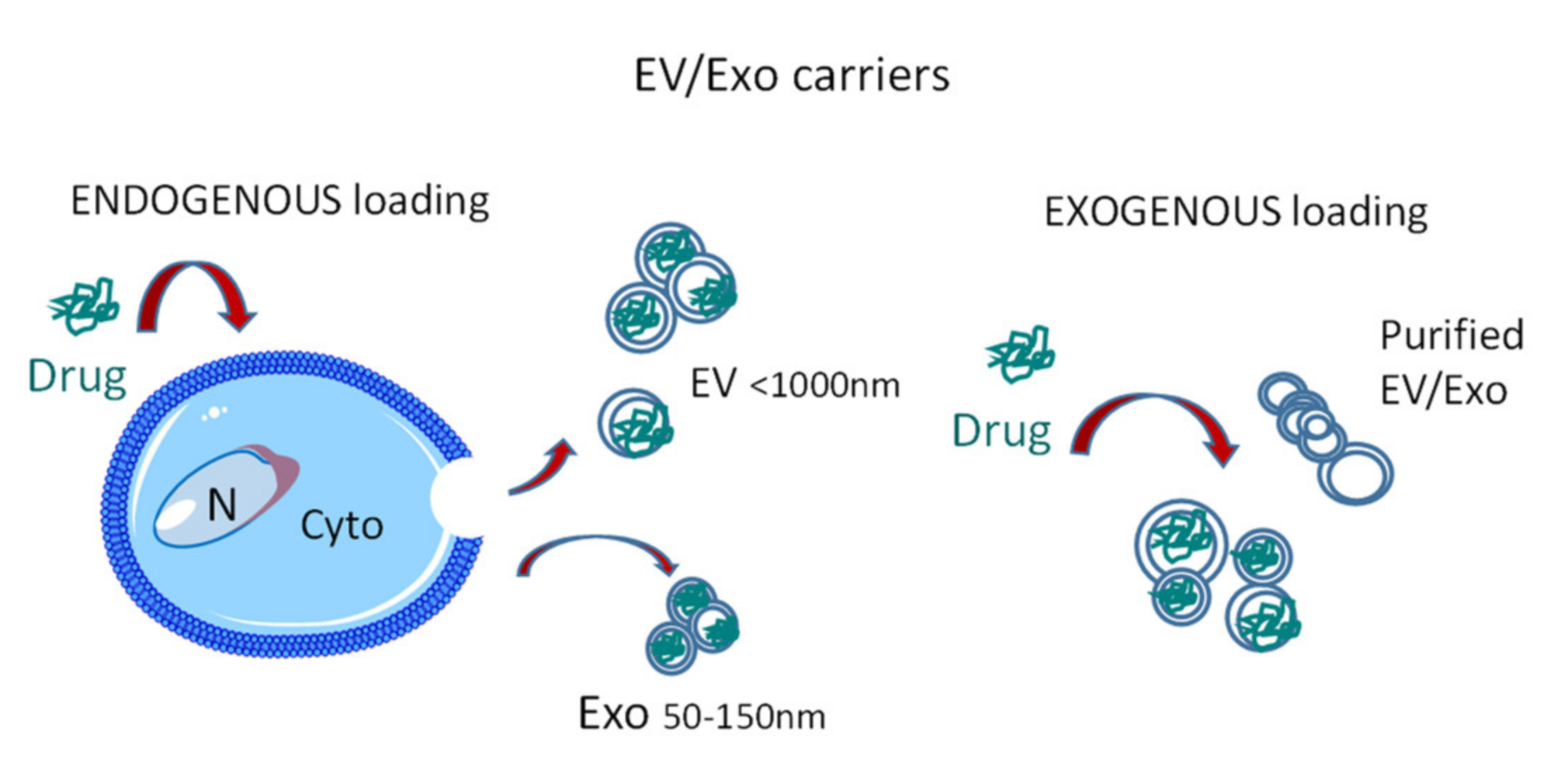 Cancers 12 01886 g001