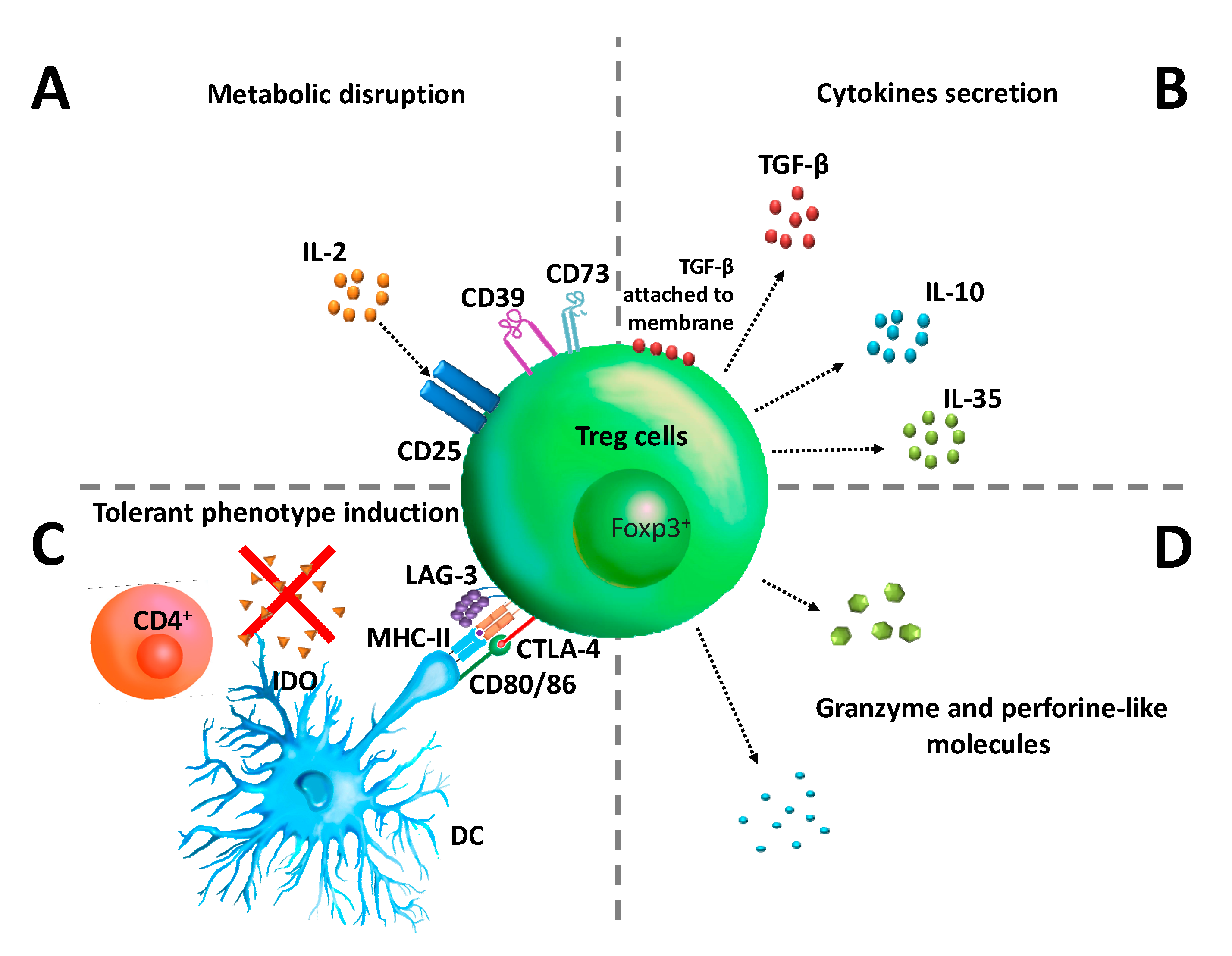 Cancers 12 01888 g001 Cancers 12 01888 g001