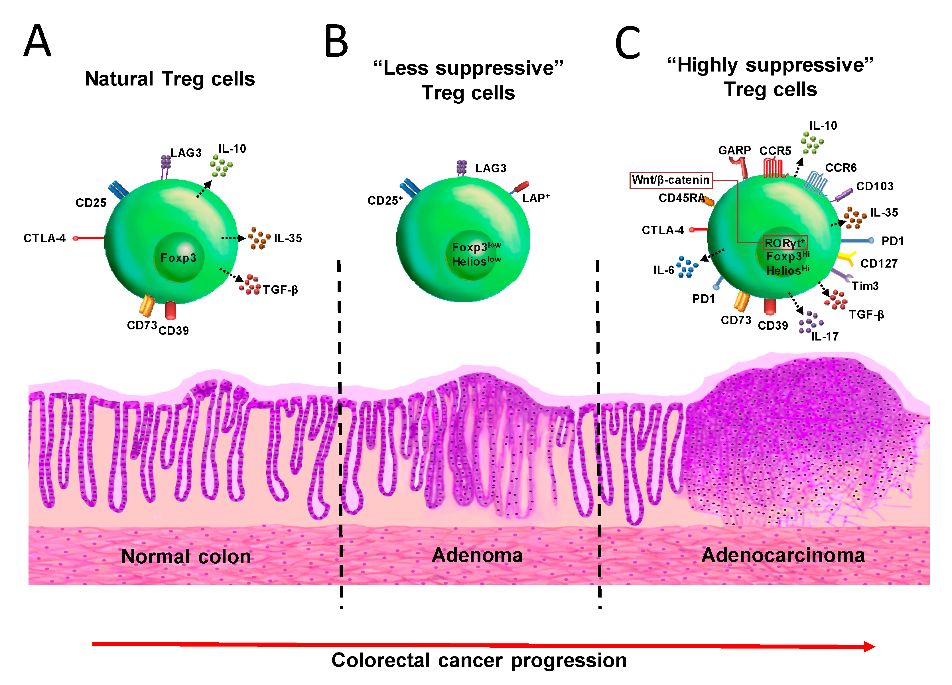 Cancers 12 01888 g002 Cancers 12 01888 g002