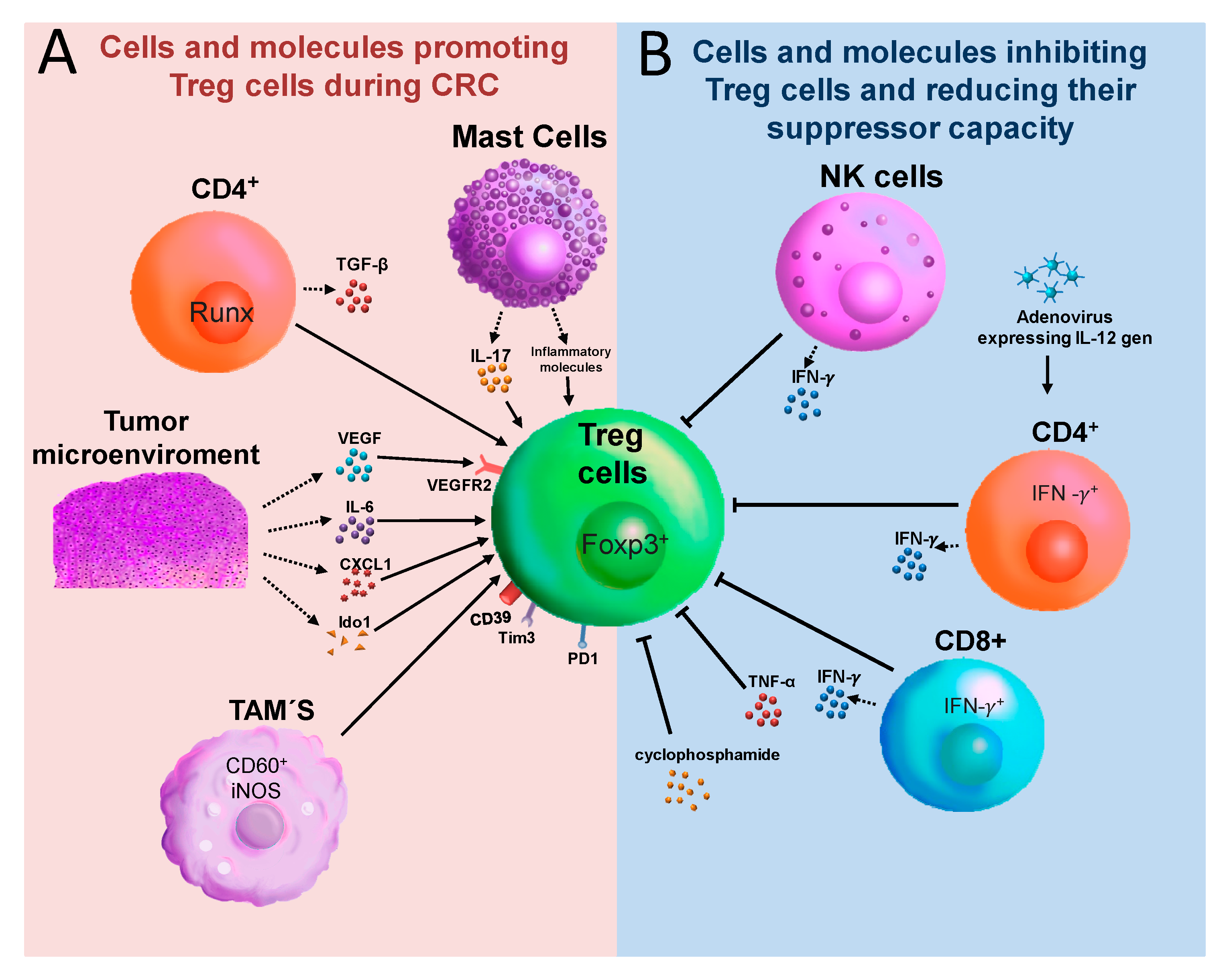 Cancers 12 01888 g003 Cancers 12 01888 g003