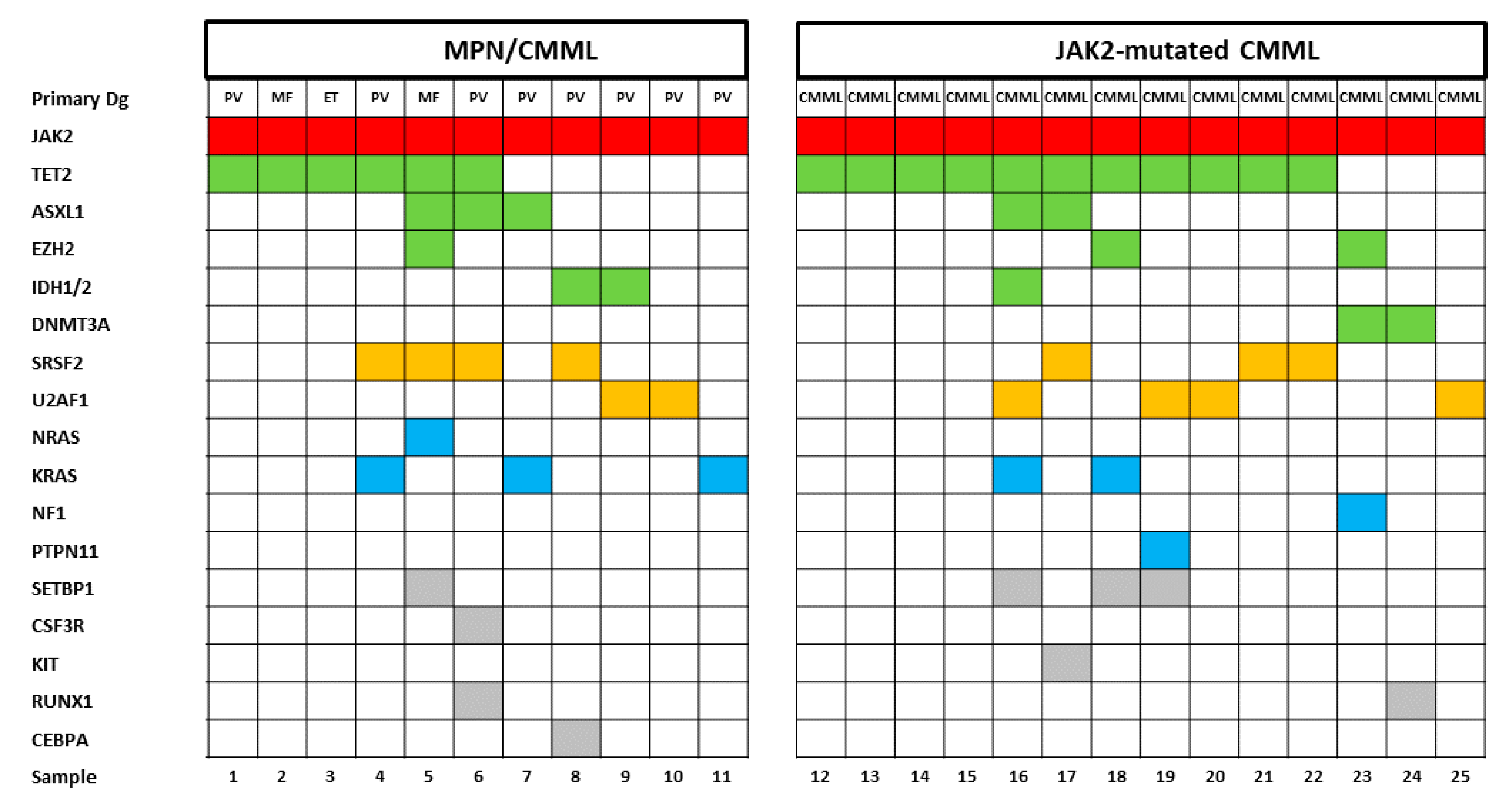 Cancers 12 01891 g001 Cancers 12 01891 g001