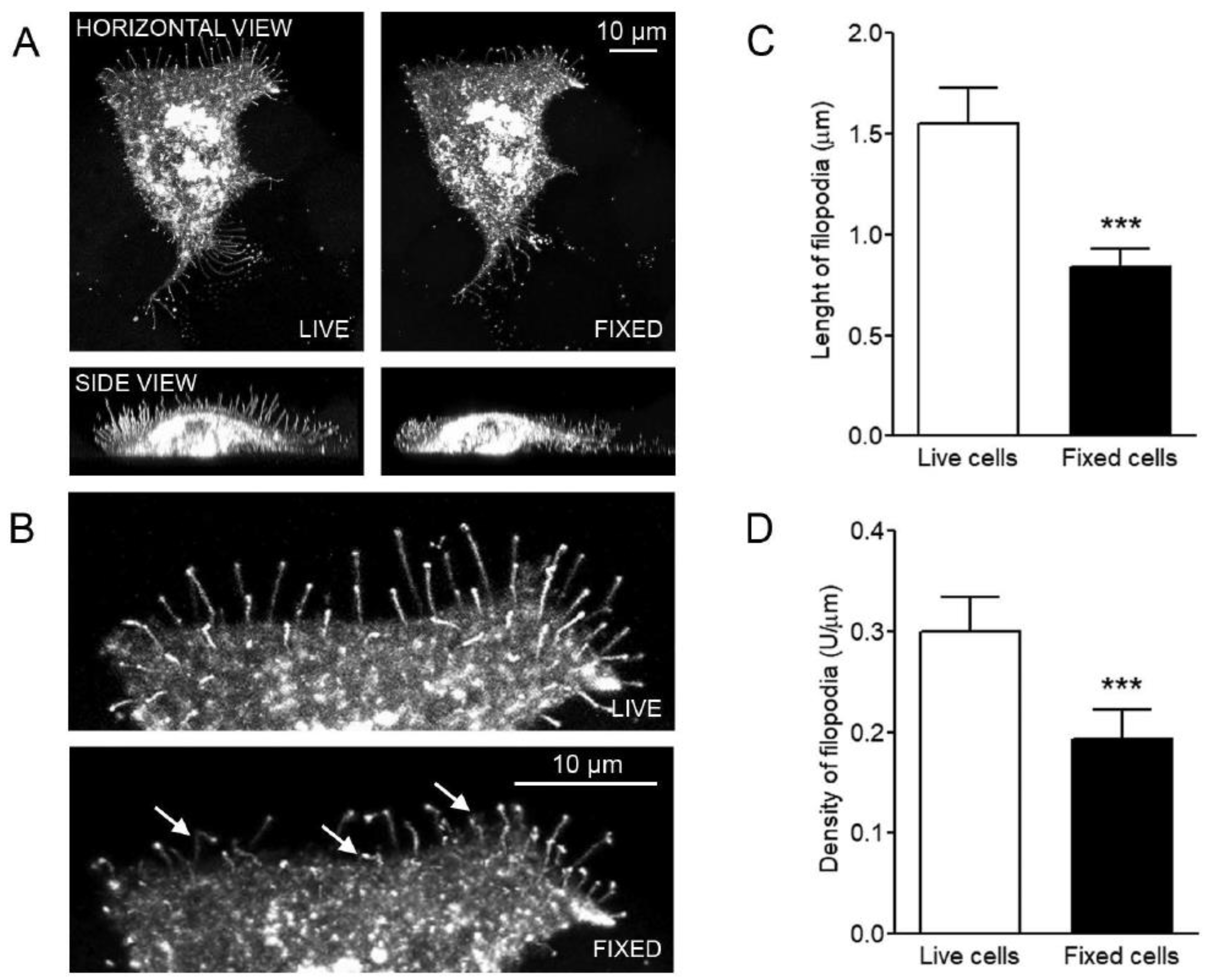 Cancers 12 01908 g001