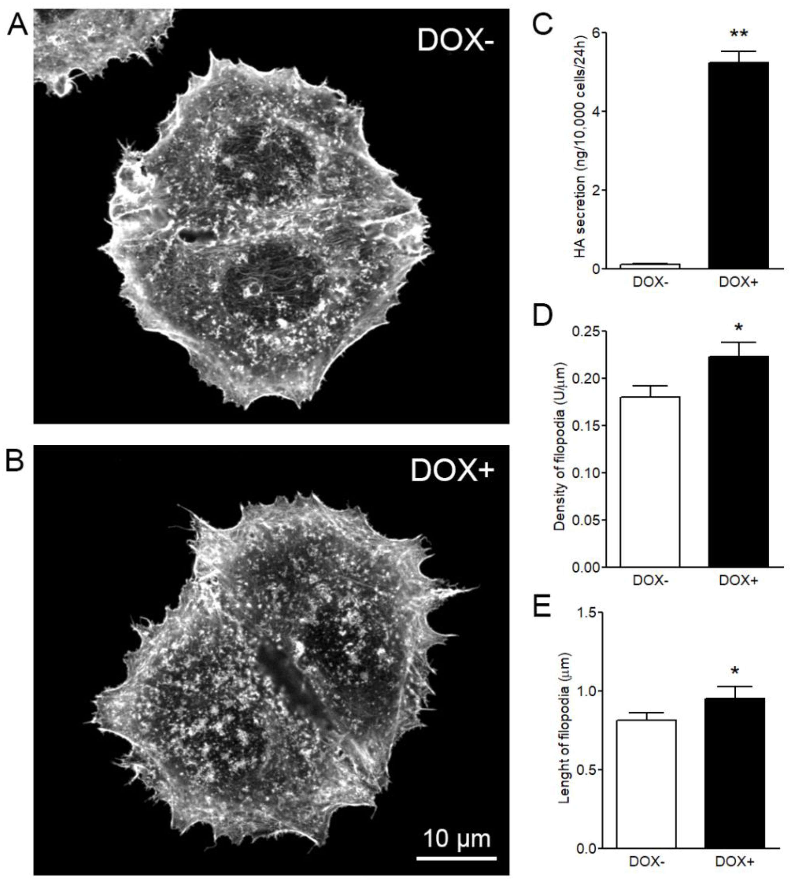 Cancers 12 01908 g003