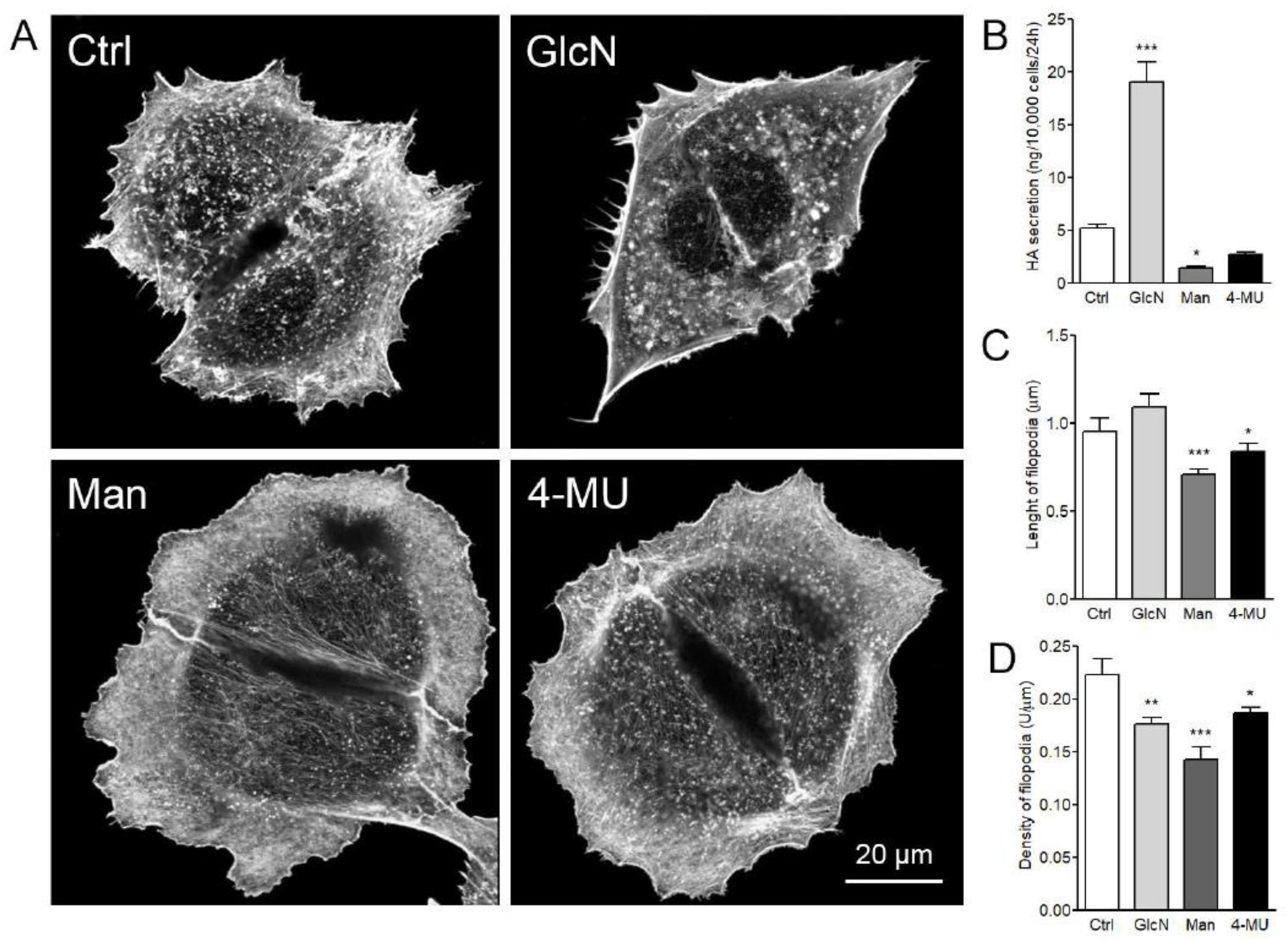 Cancers 12 01908 g005
