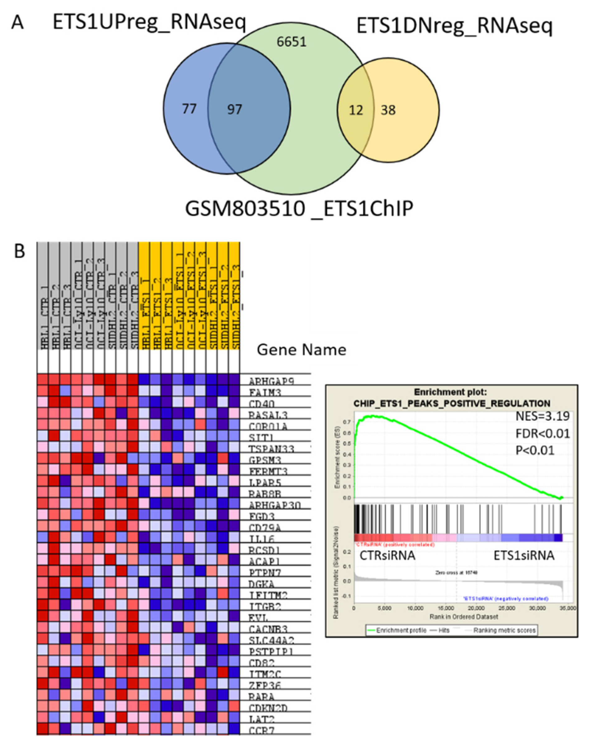 Cancers 12 01912 g002 Cancers 12 01912 g002