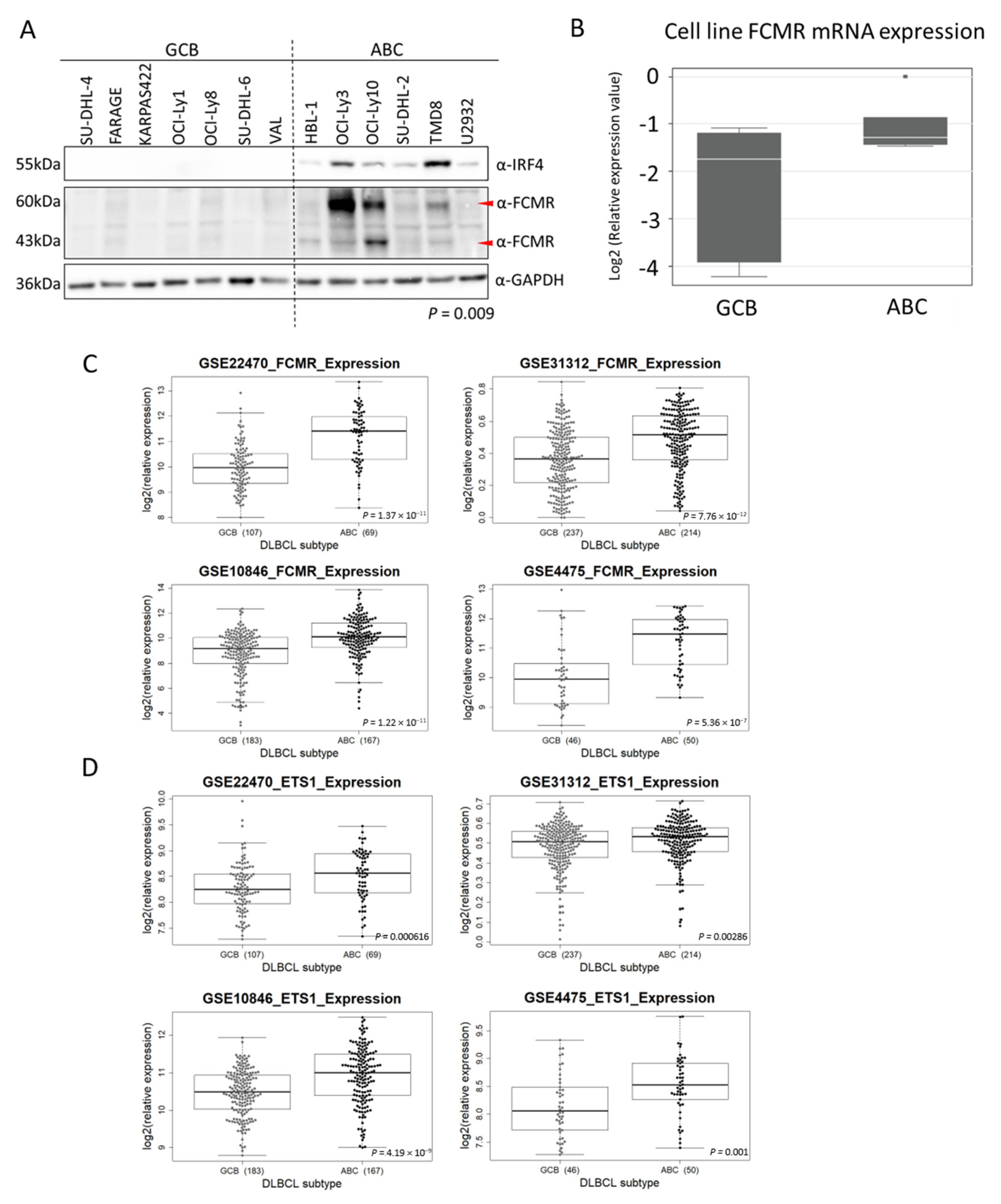 Cancers 12 01912 g004 Cancers 12 01912 g004