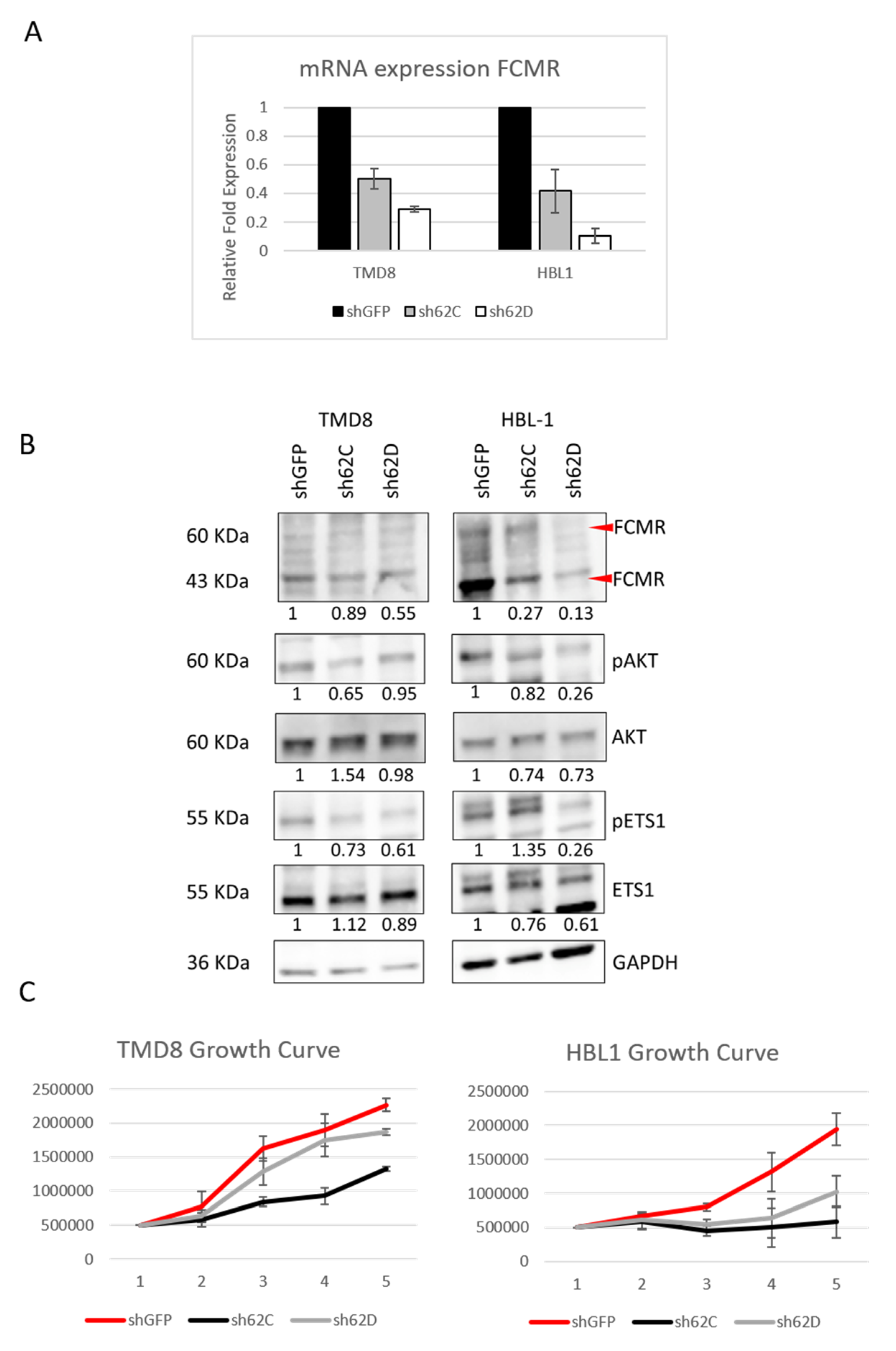 Cancers 12 01912 g005 Cancers 12 01912 g005