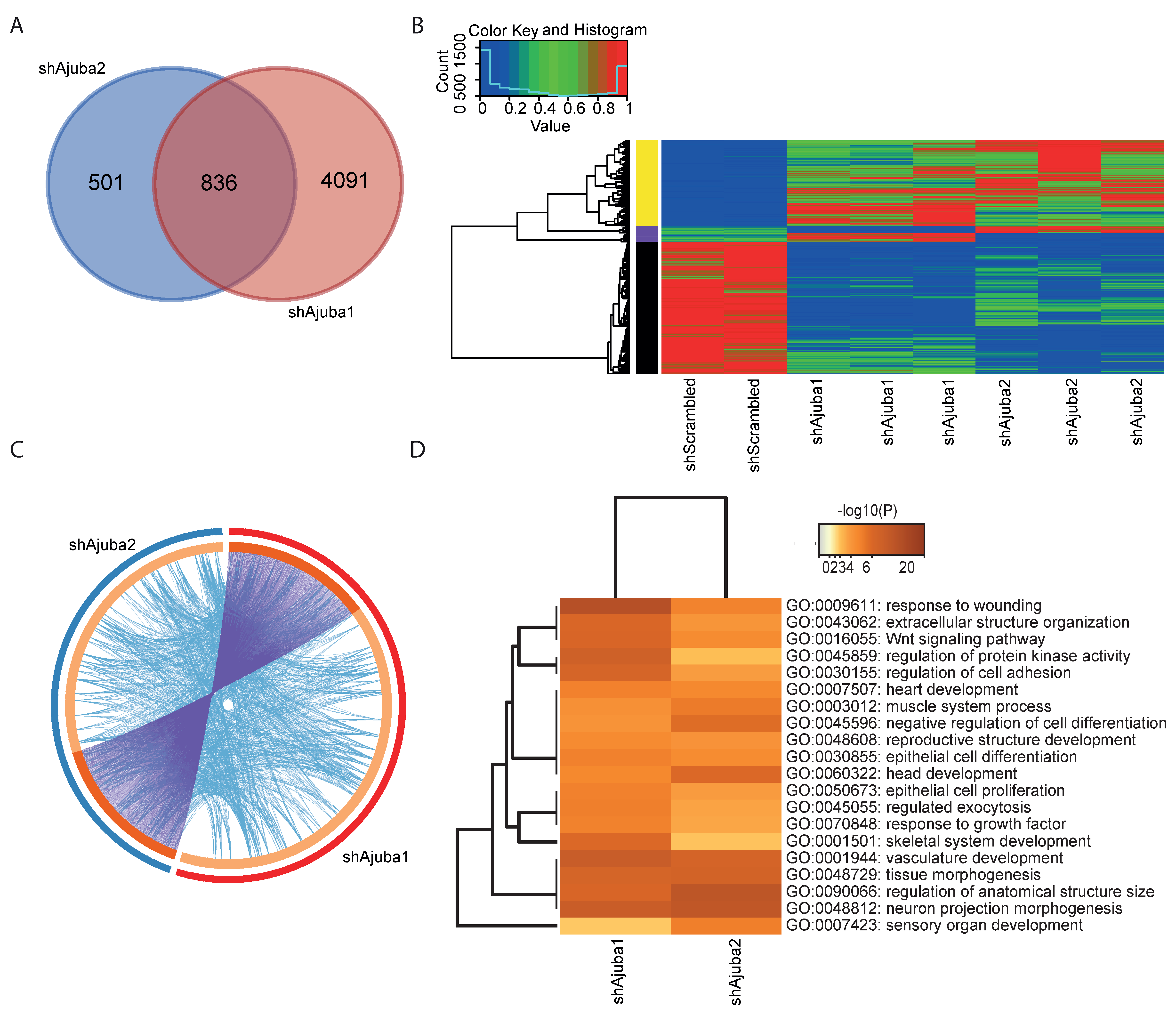 Cancers 12 01913 g004