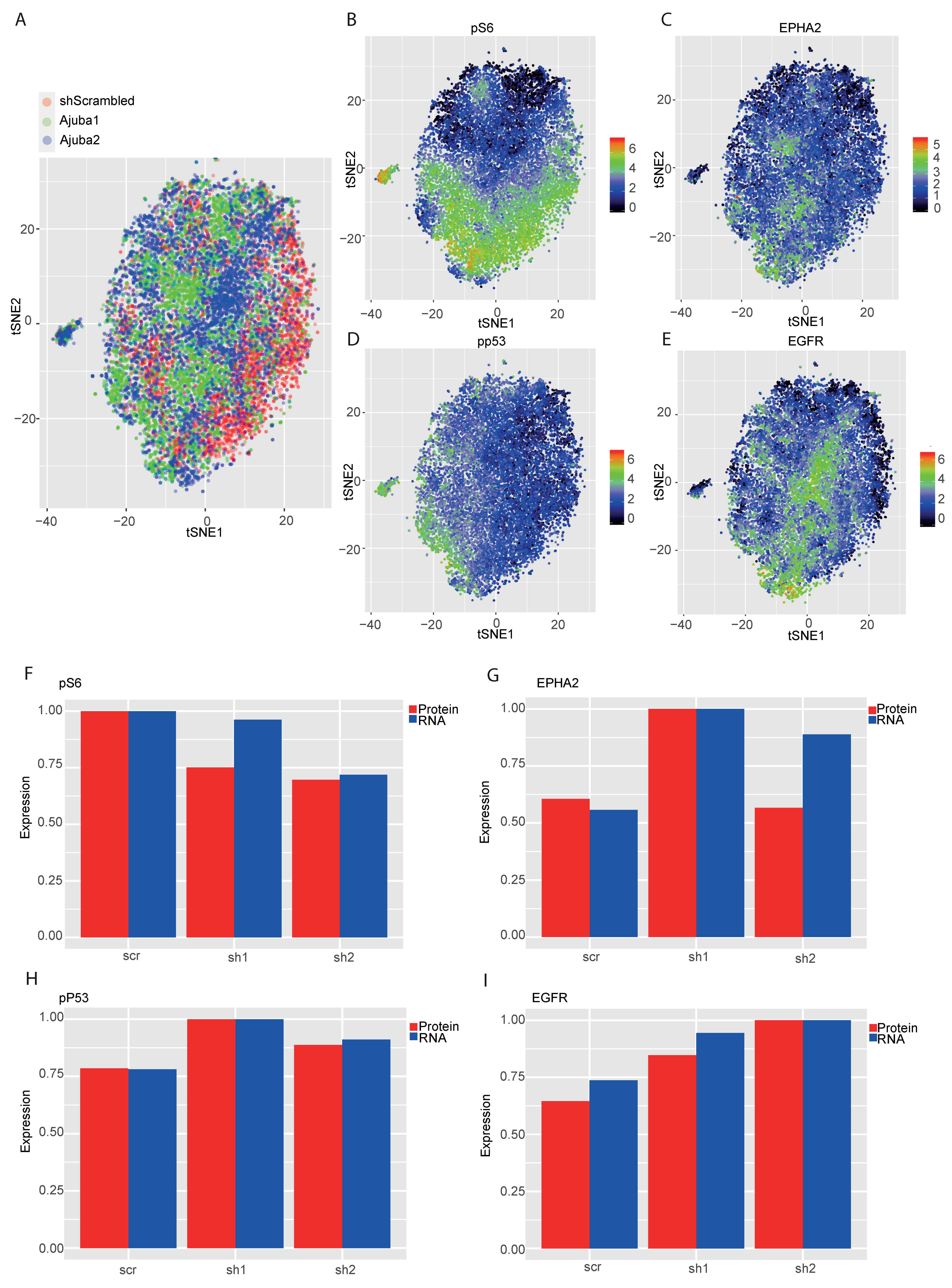 Cancers 12 01913 g005
