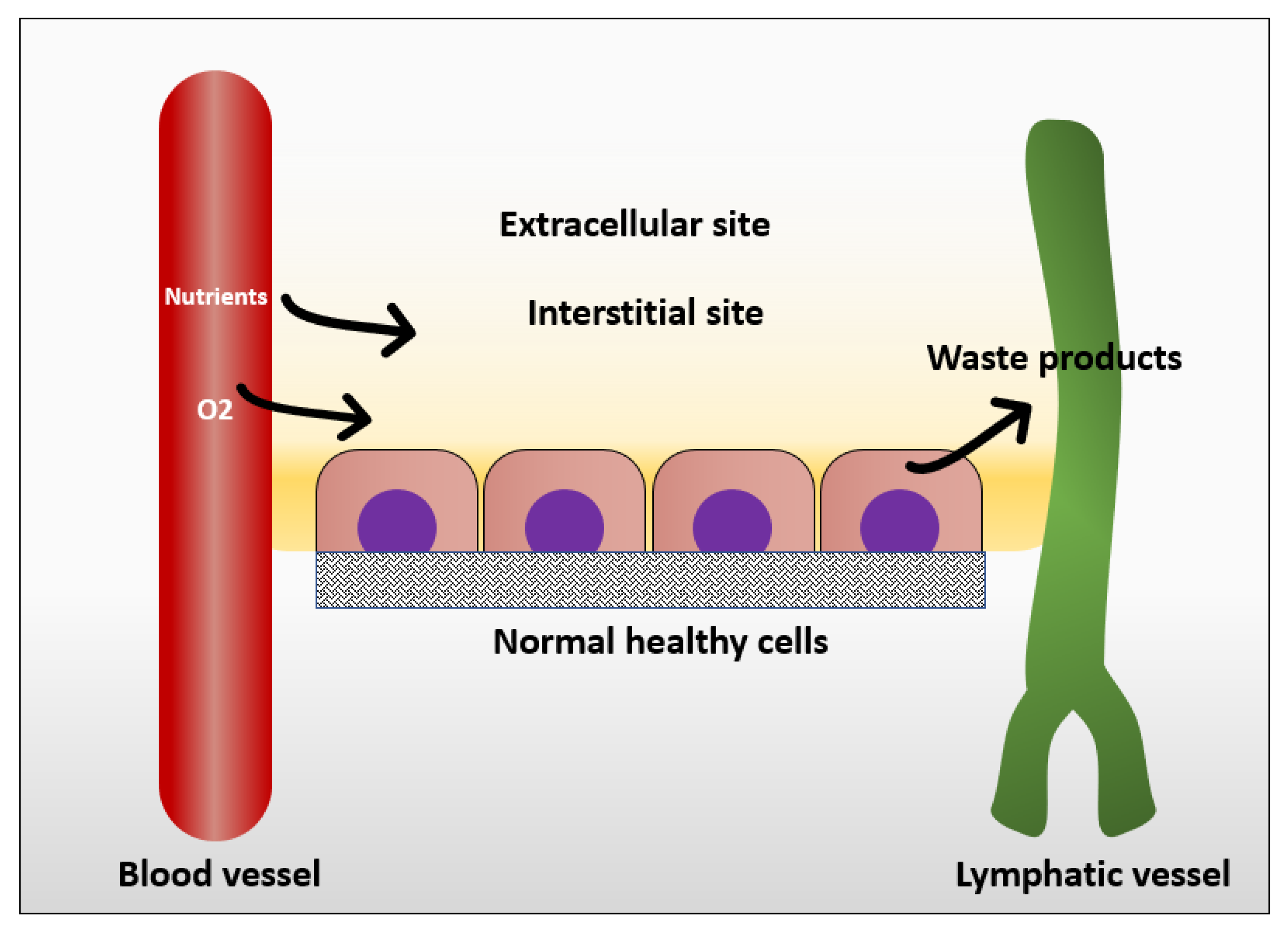 Cancers 12 01916 g001