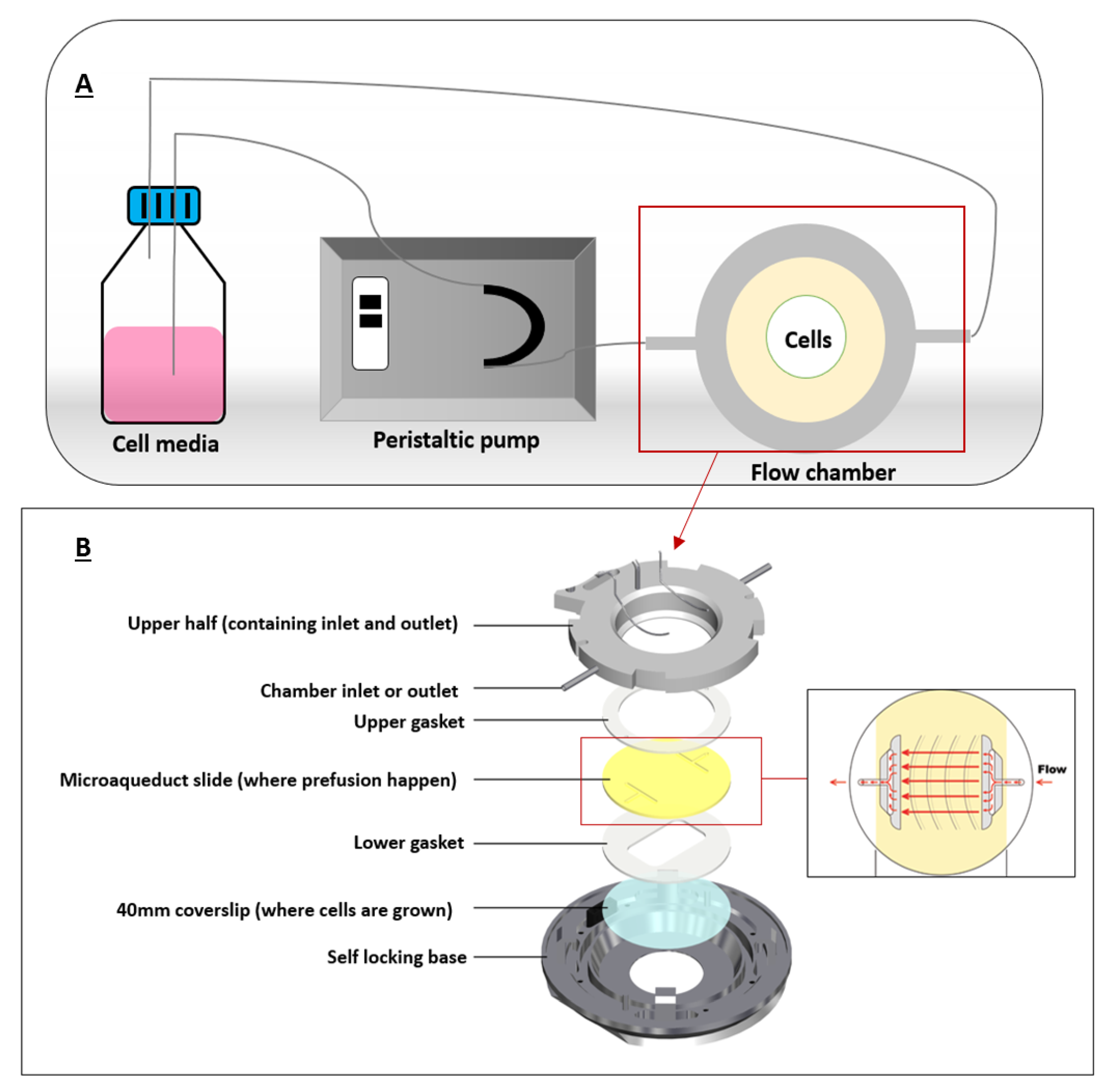 Cancers 12 01916 g003