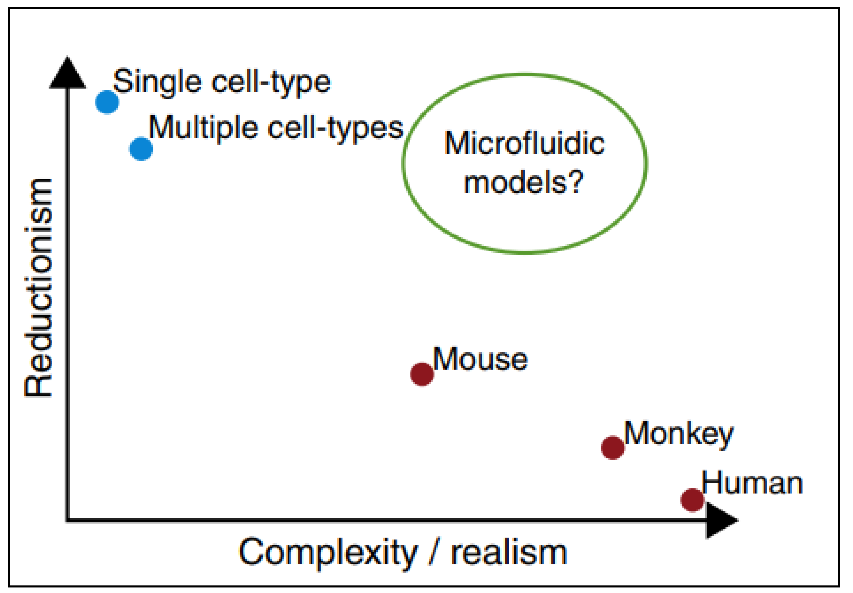 Cancers 12 01916 g004