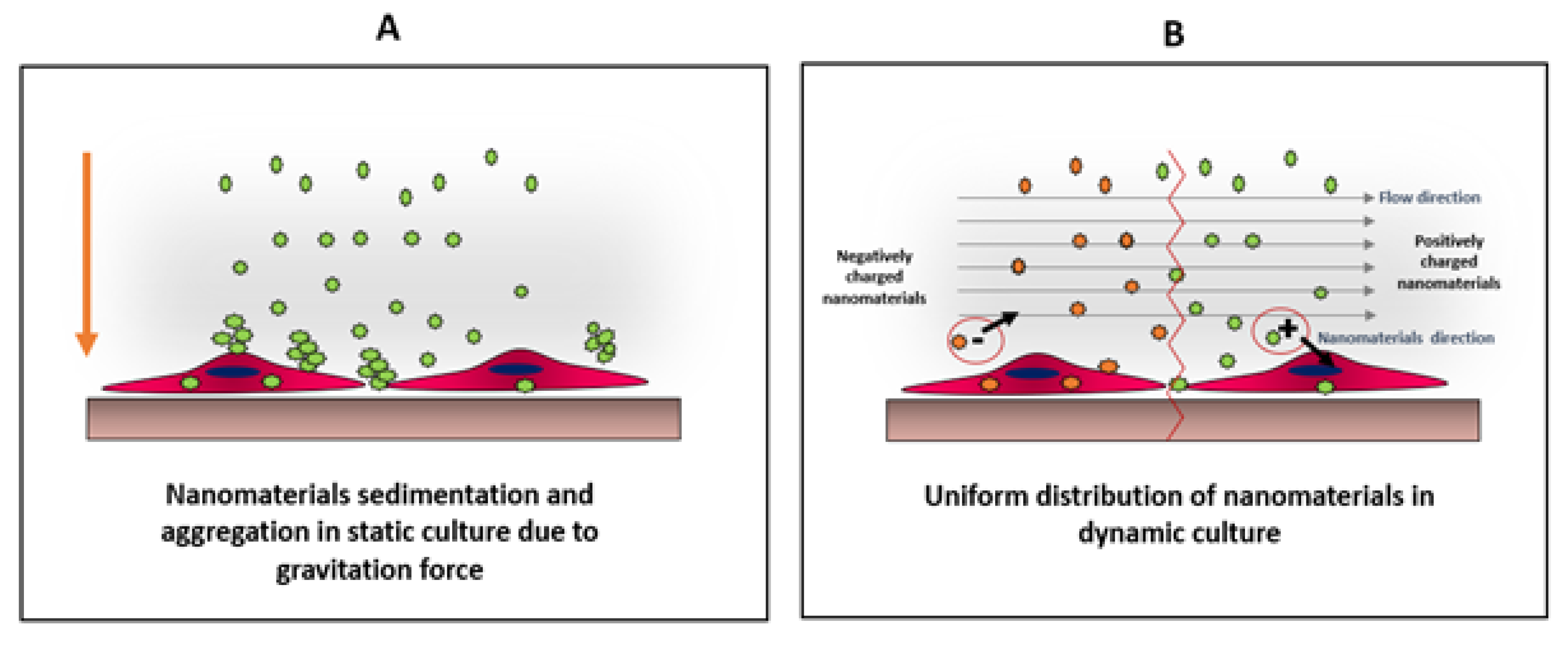 Cancers 12 01916 g005