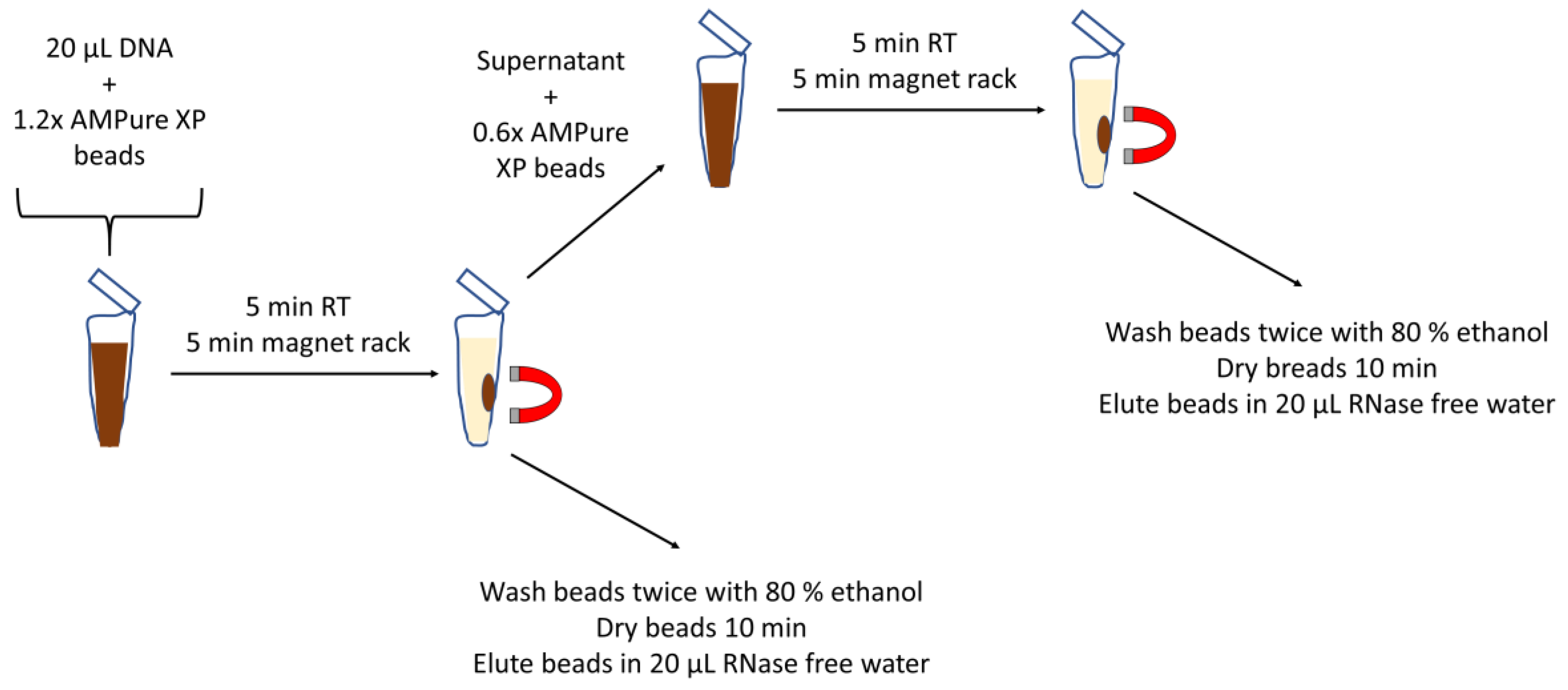 Cancers 12 01917 g004 Cancers 12 01917 g004