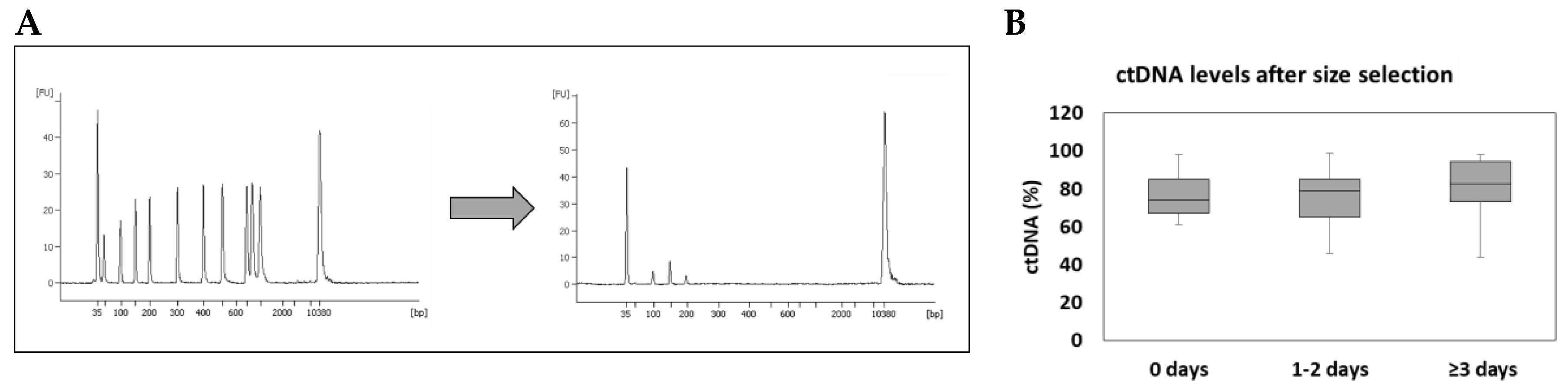 Cancers 12 01917 g005 Cancers 12 01917 g005