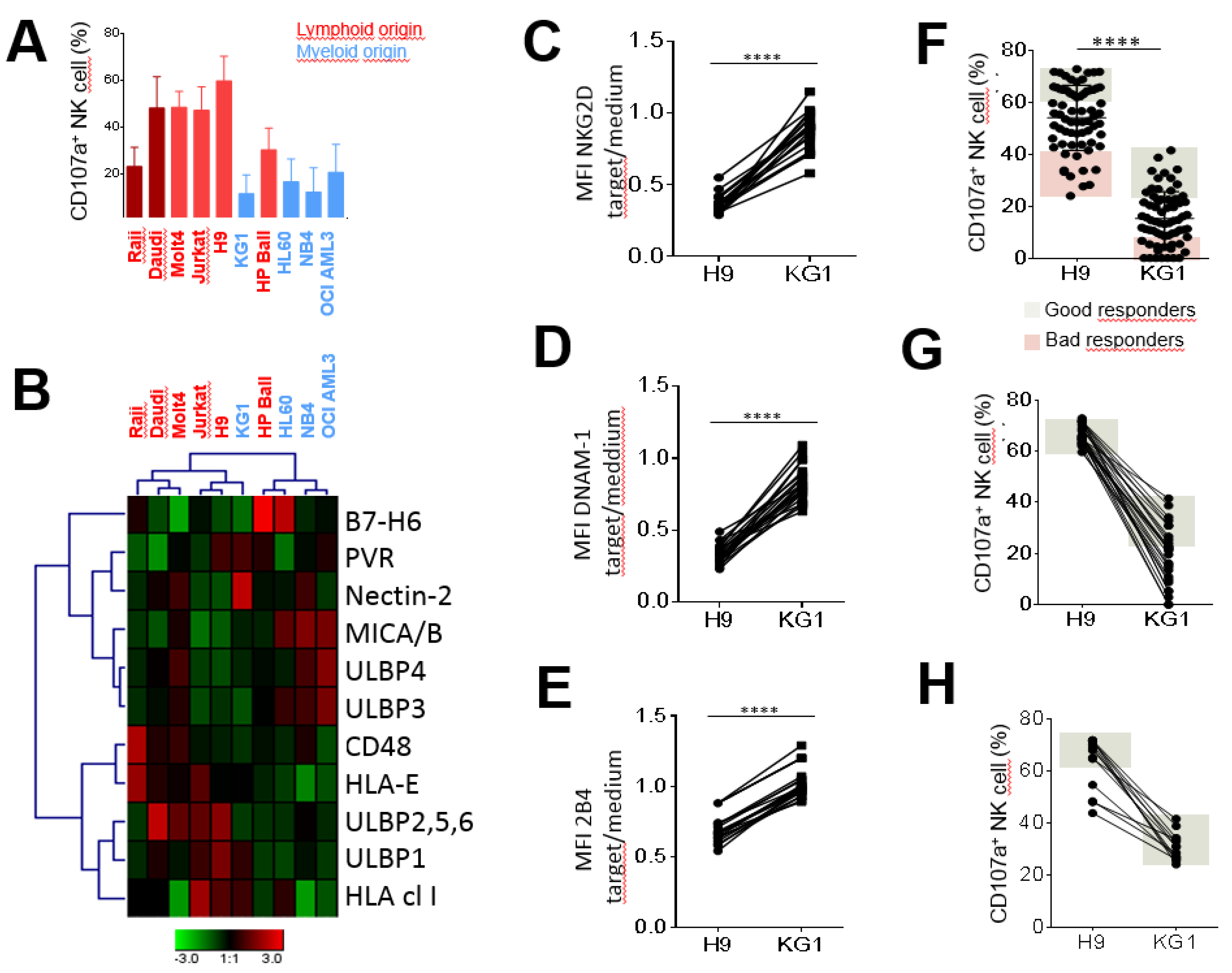 Cancers 12 01927 g001 Cancers 12 01927 g001