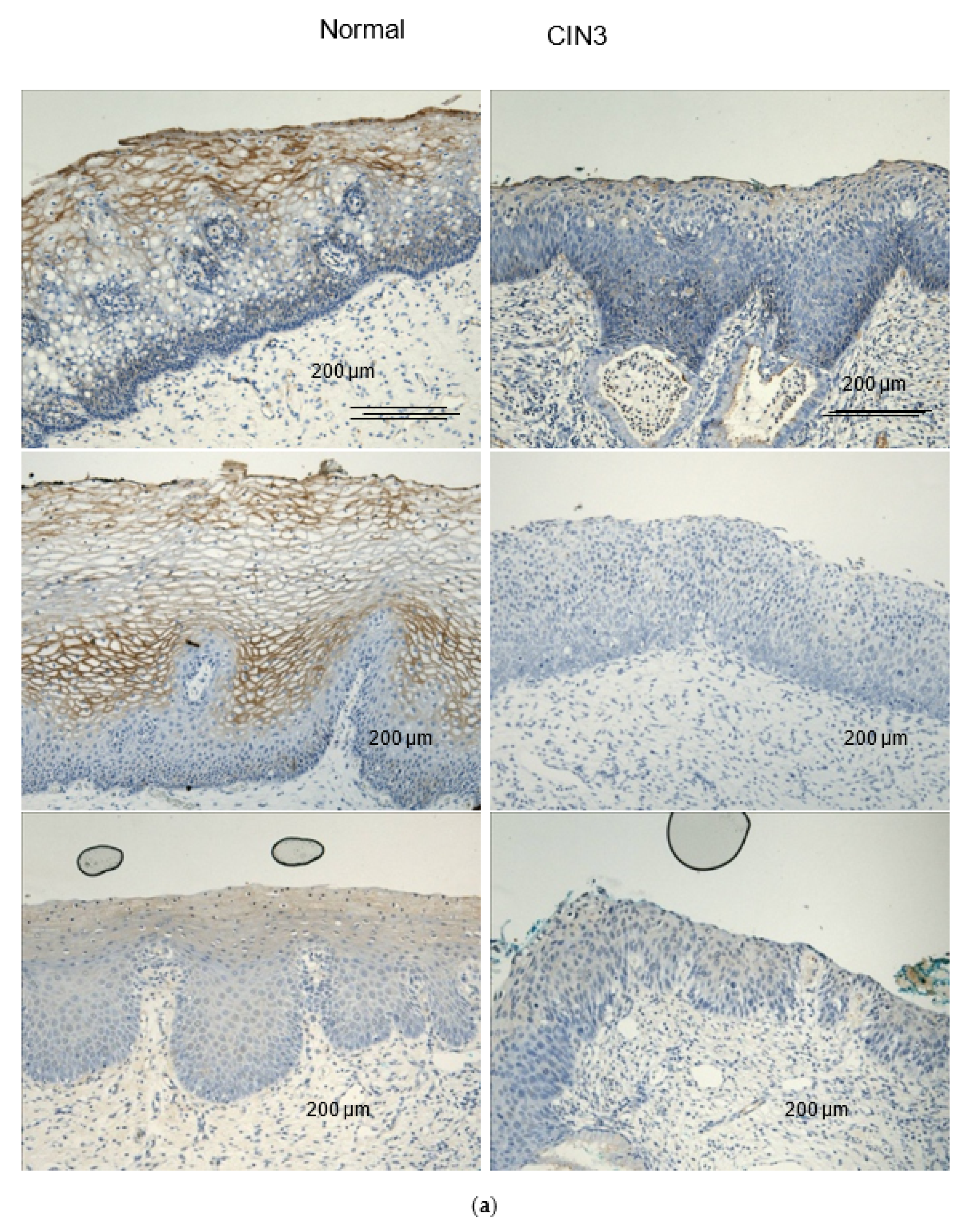 Cancers 12 01928 g001a