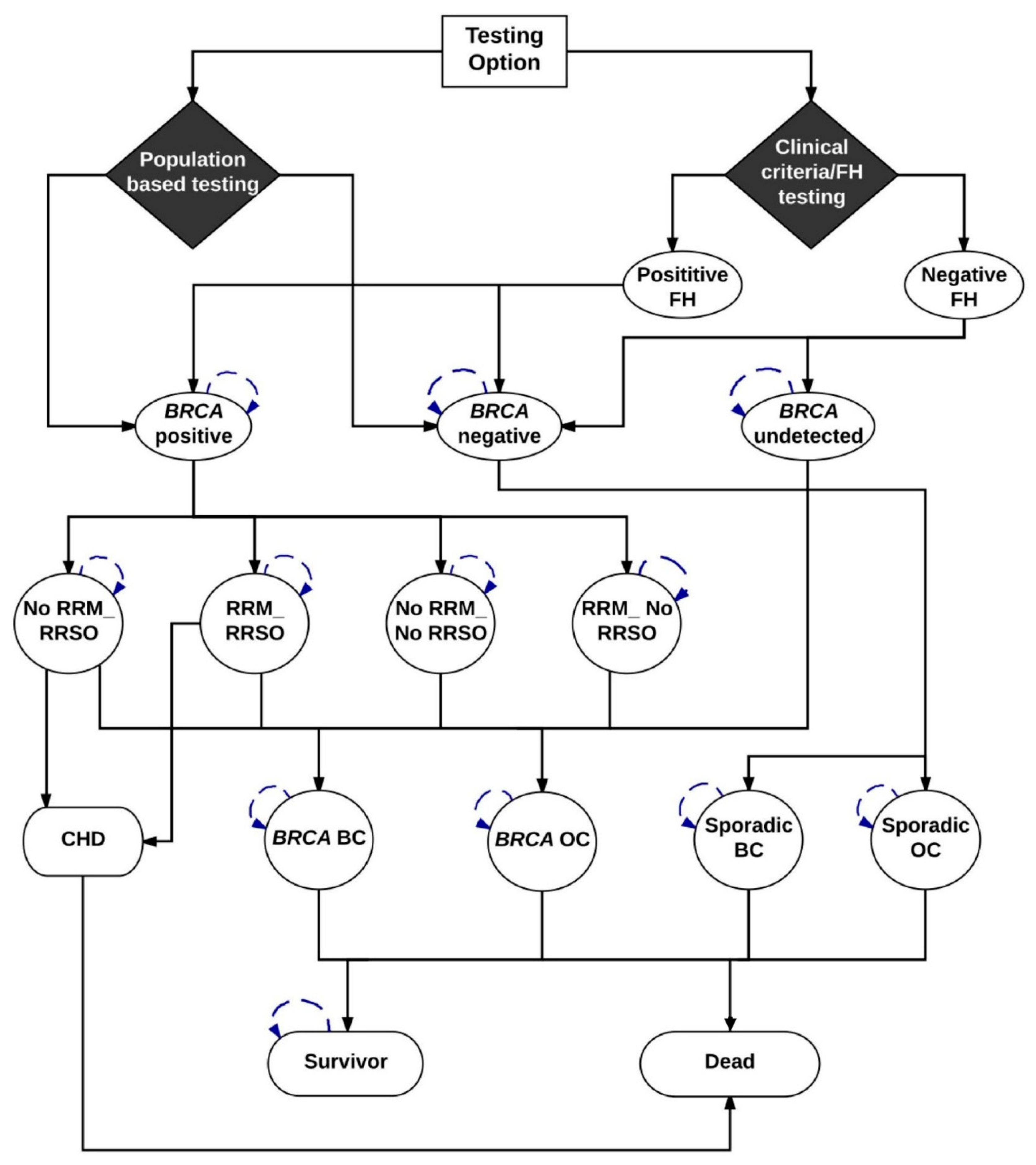 Cancers 12 01929 g003 Cancers 12 01929 g003