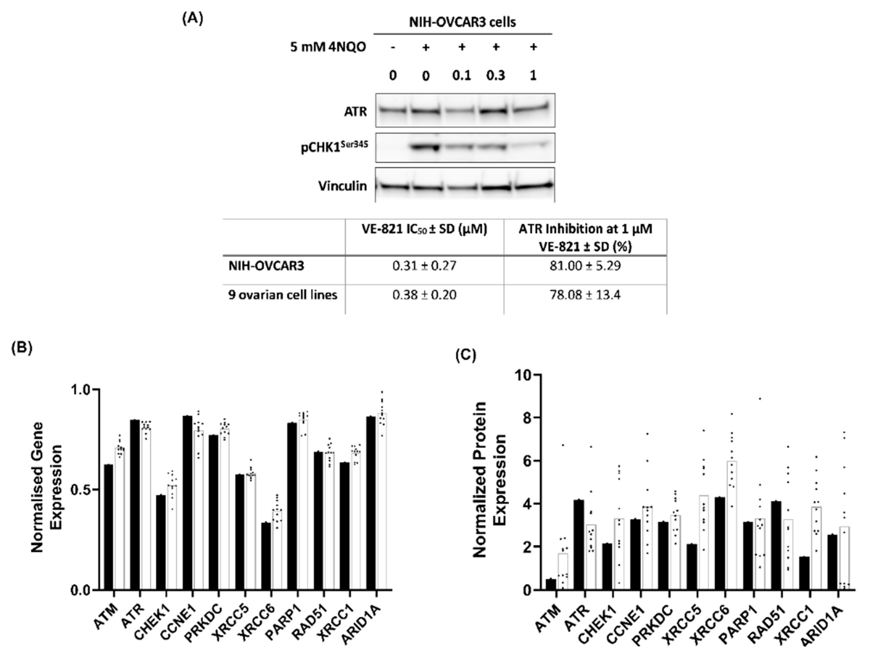 Cancers 12 01939 g003