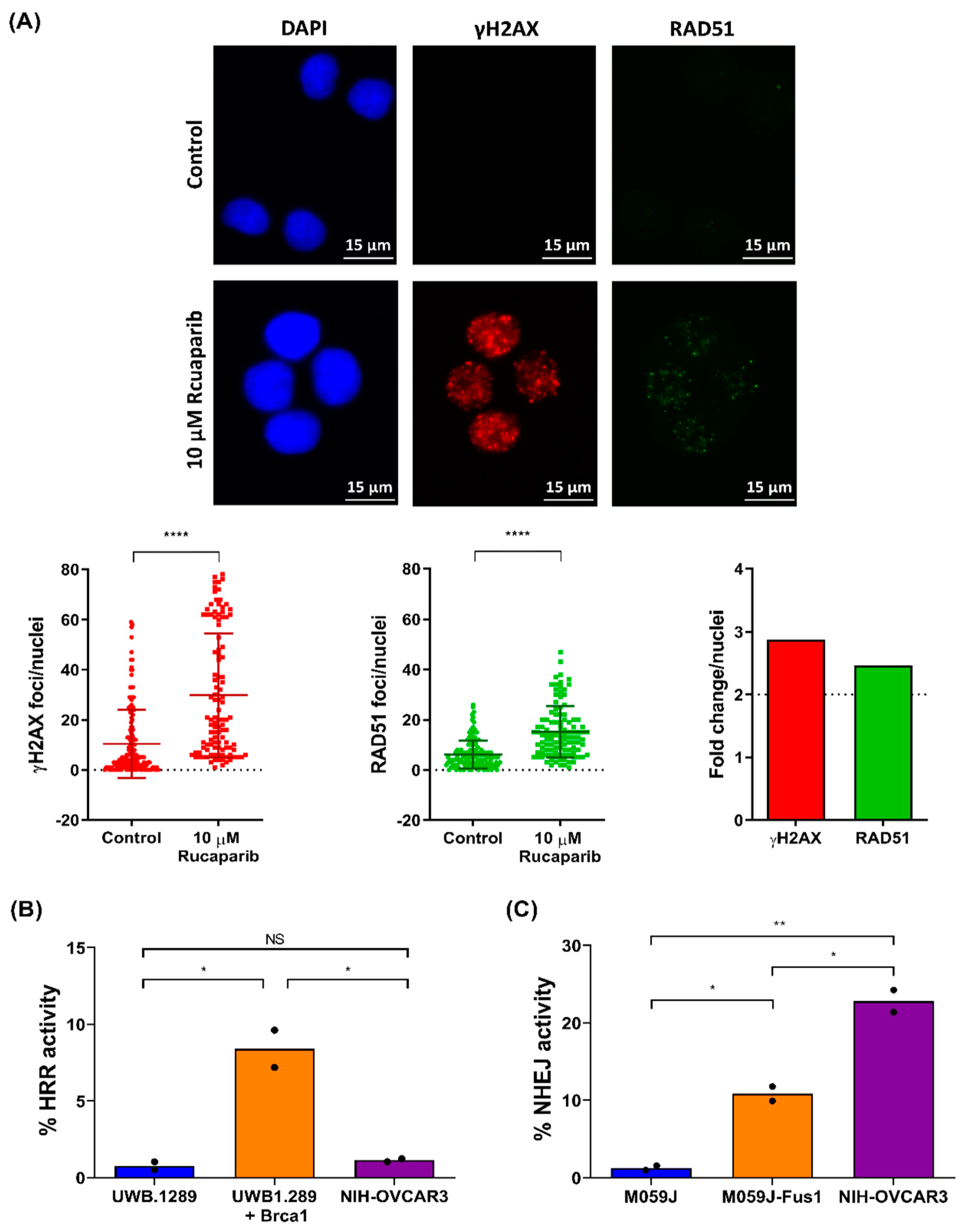 Cancers 12 01939 g004