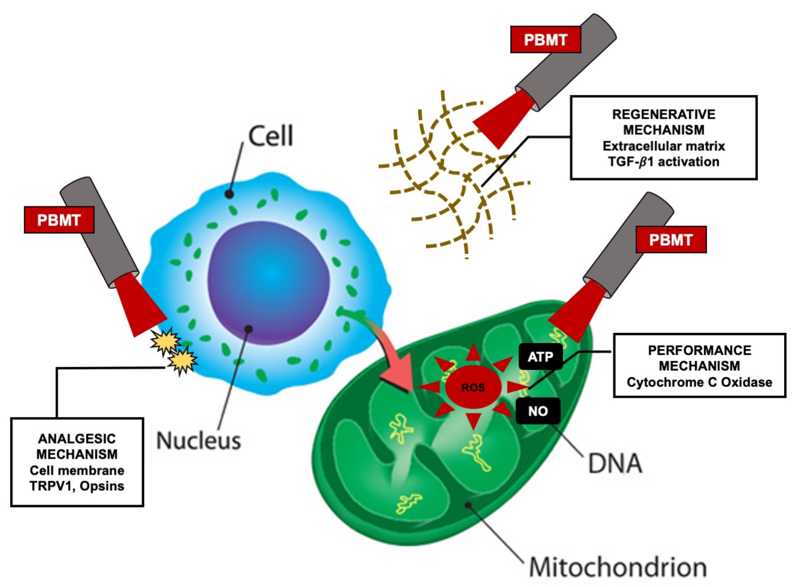 Cancers 12 01949 g002