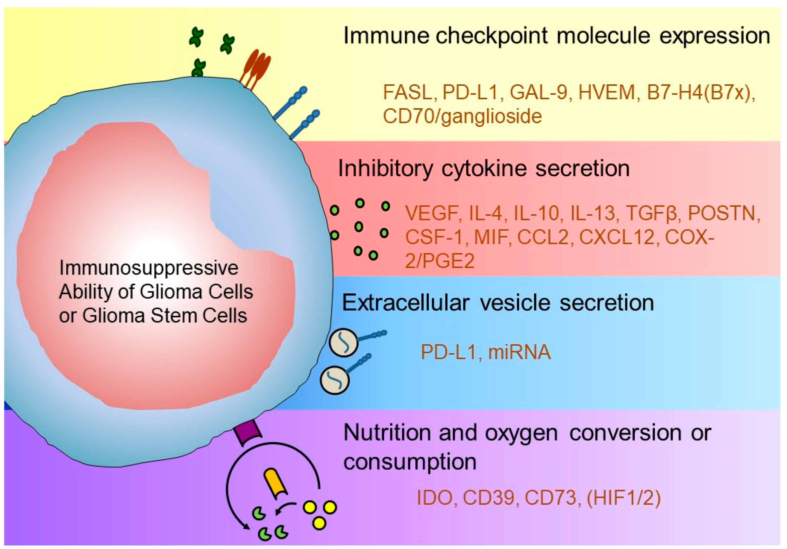 Cancers 12 01960 g001