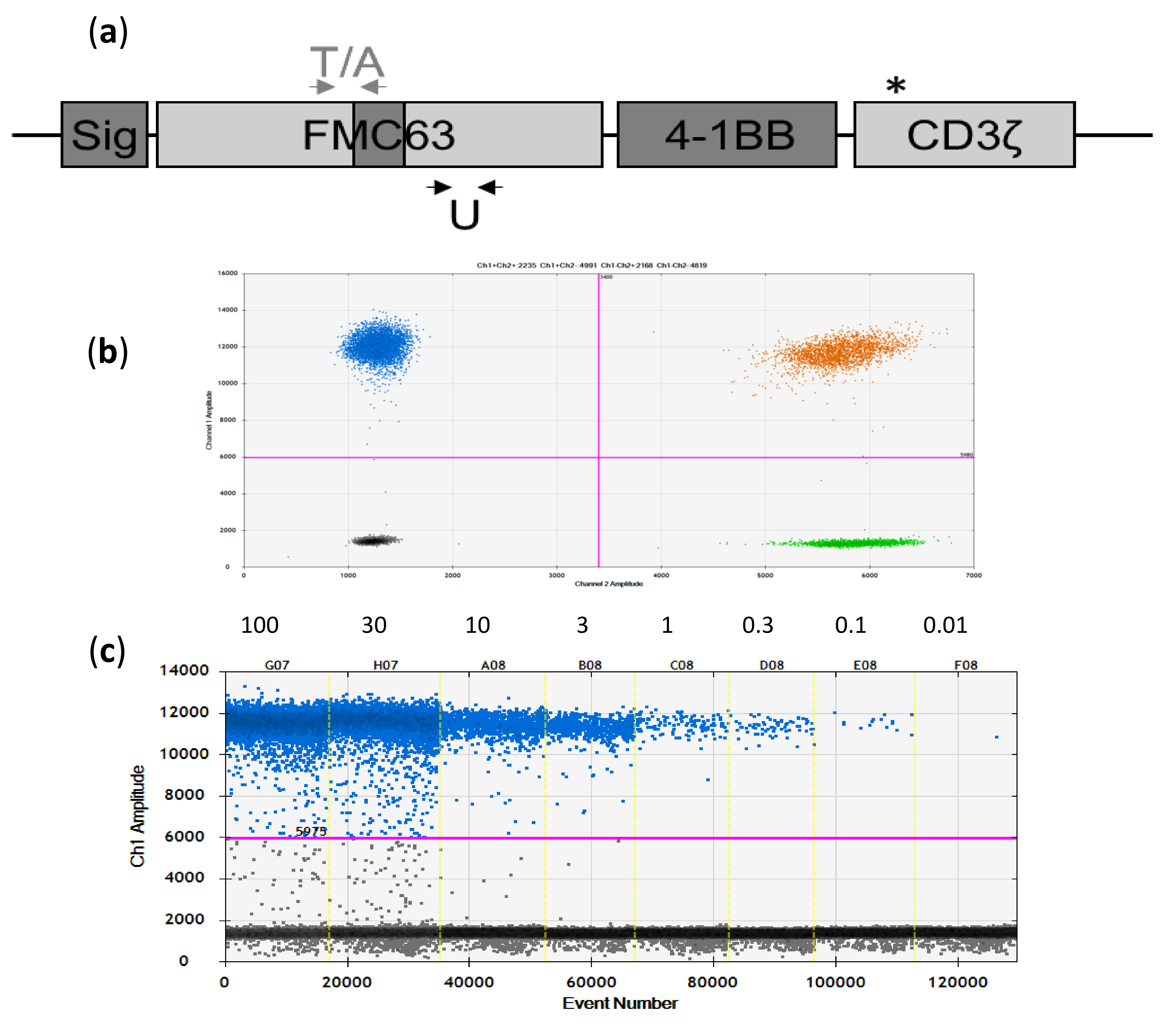 Cancers 12 01970 g001