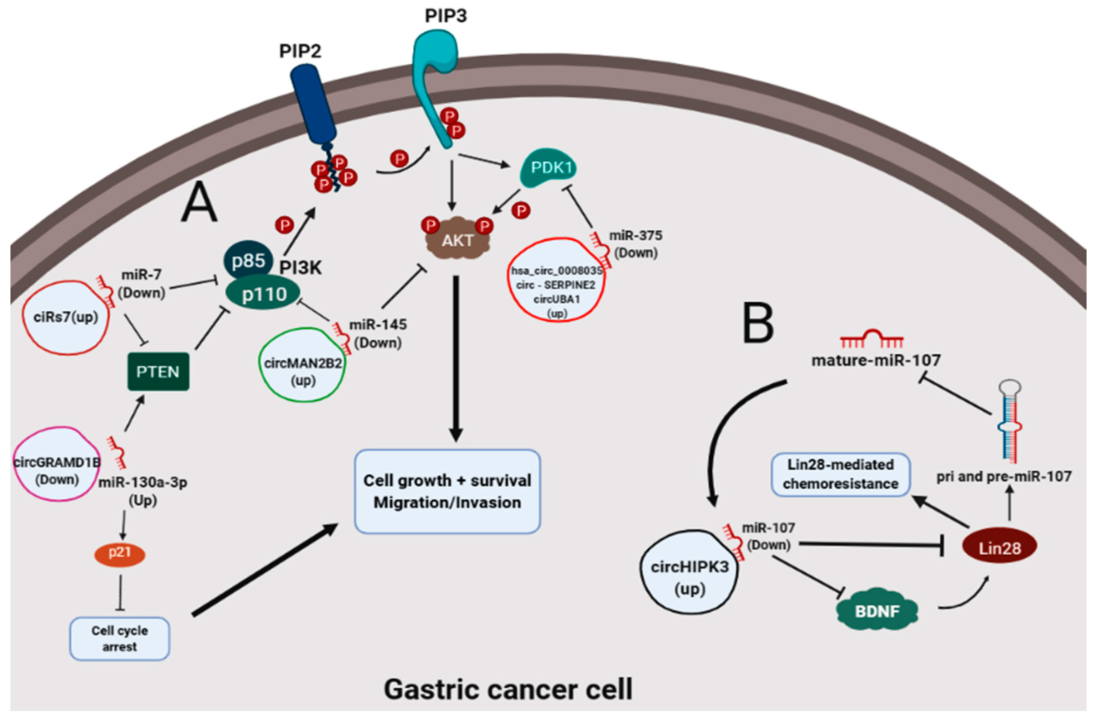 Cancers 12 01982 g005