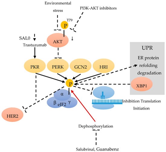 Cancers 12 01984 g001