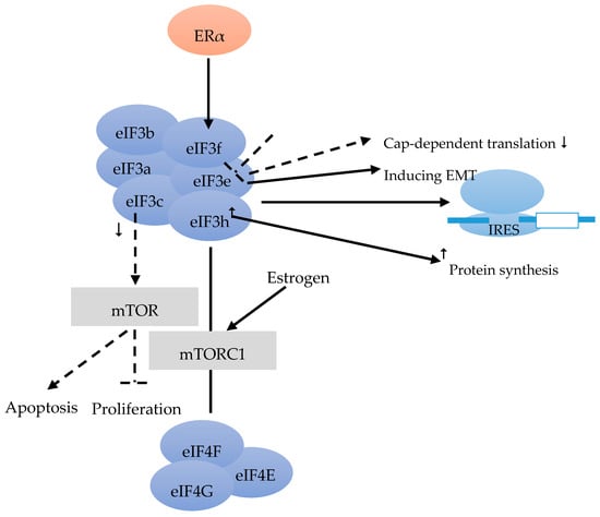 Cancers 12 01984 g002