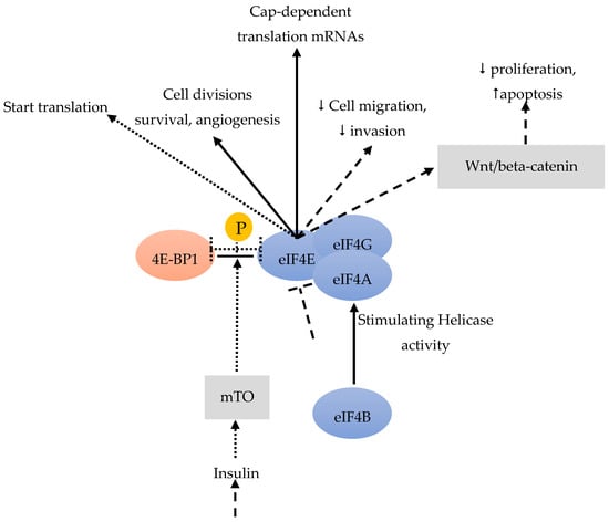 Cancers 12 01984 g003