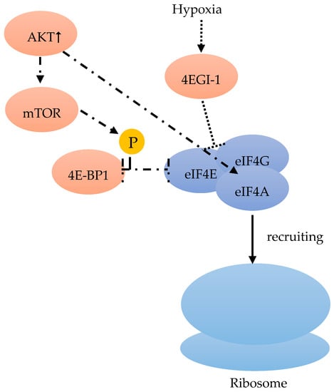 Cancers 12 01984 g004