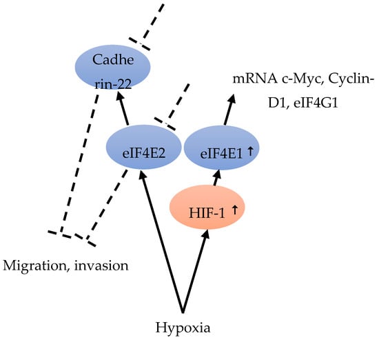Cancers 12 01984 g005