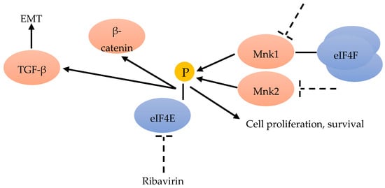 Cancers 12 01984 g006