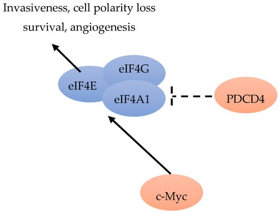 Cancers 12 01984 g007
