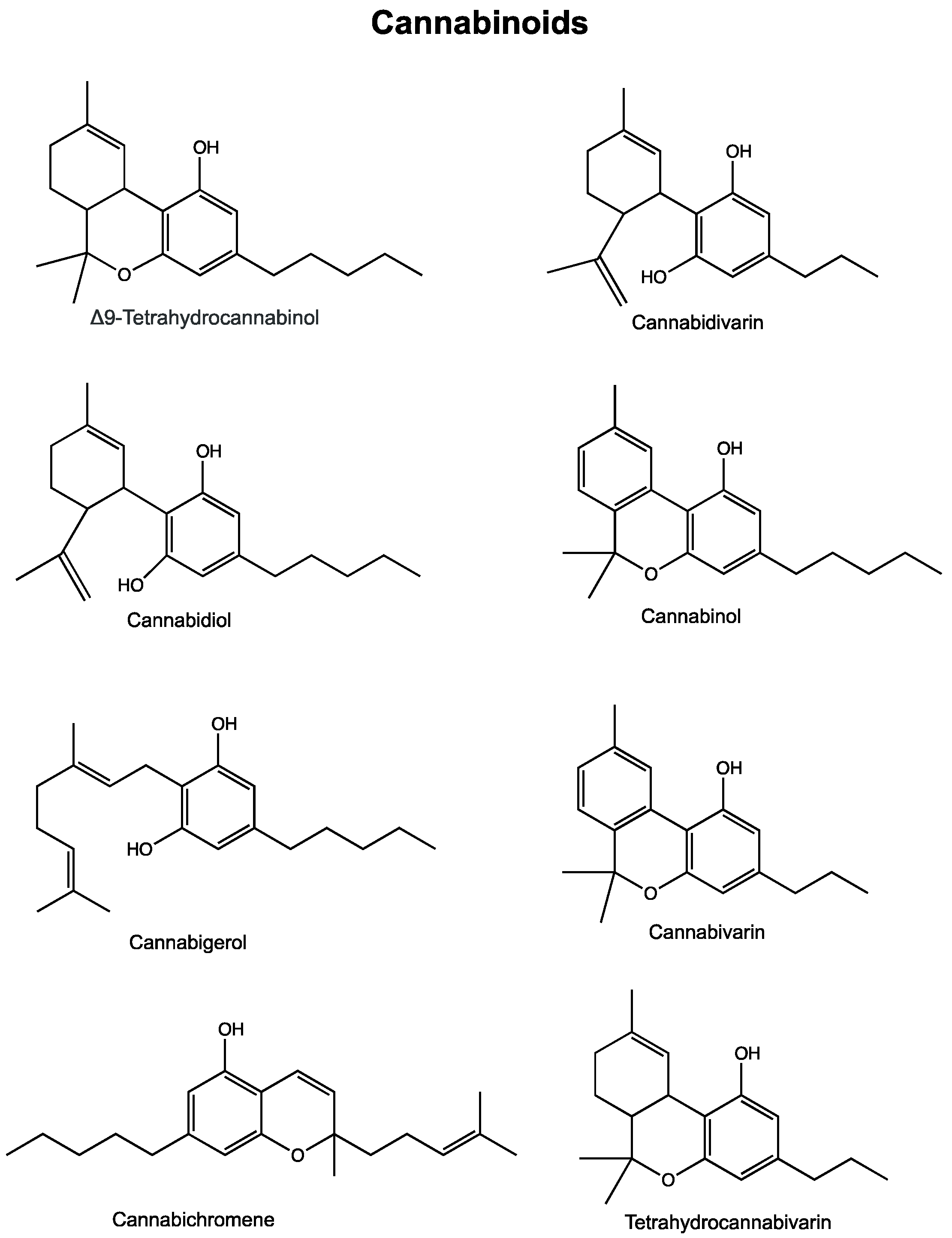 Cancers 12 01985 g001