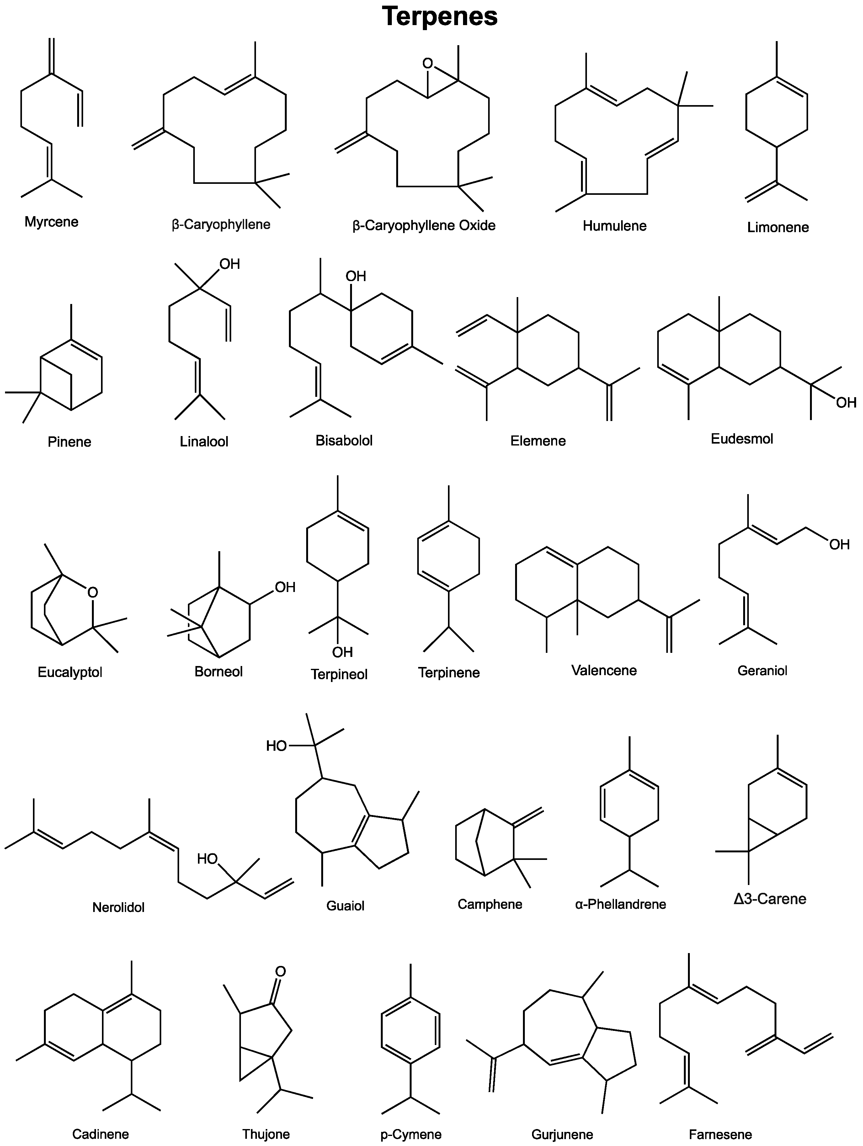 Cancers 12 01985 g002