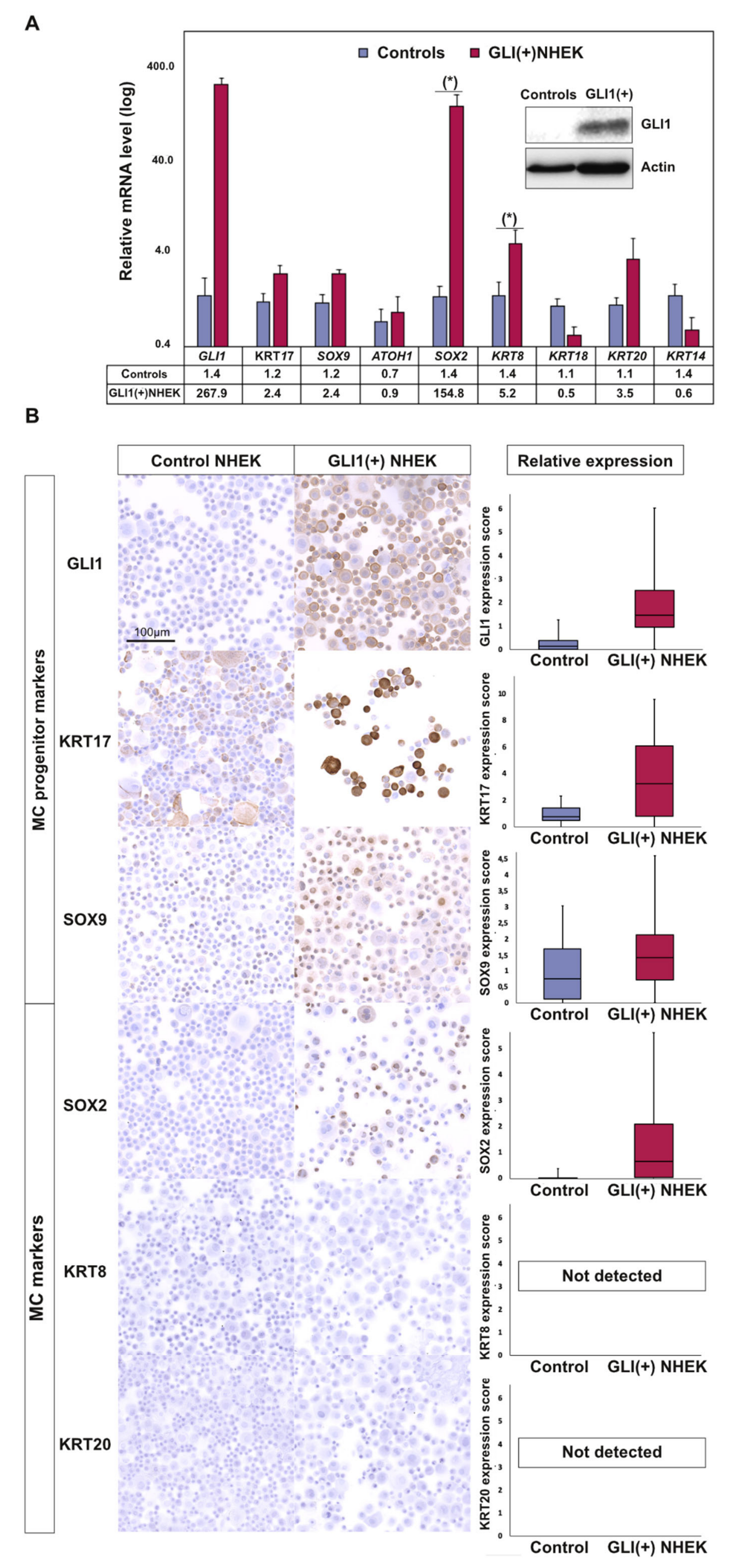 Cancers 12 01989 g002 Cancers 12 01989 g002