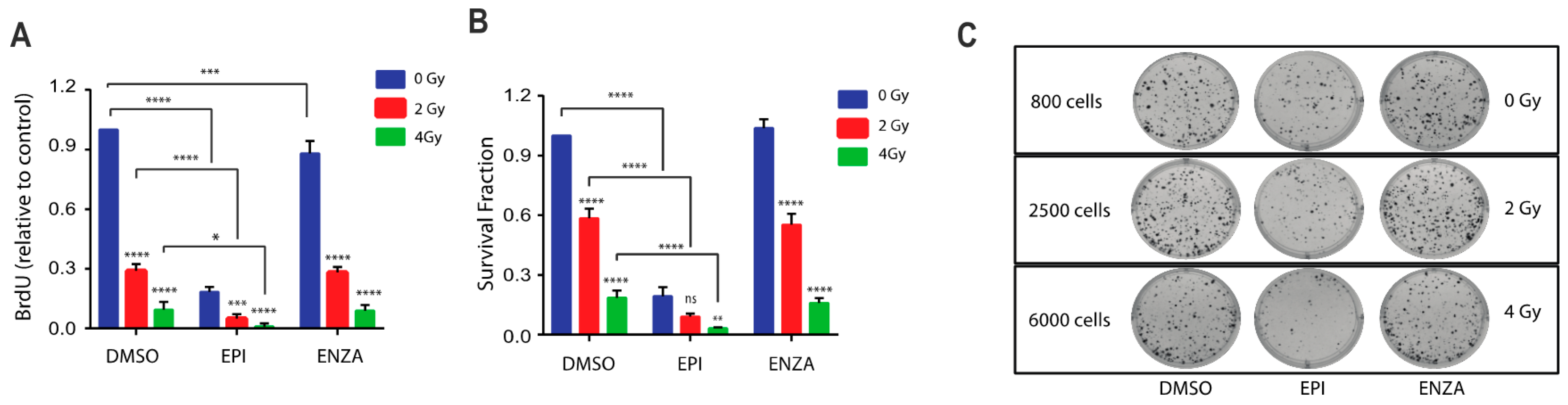 Cancers 12 01991 g004