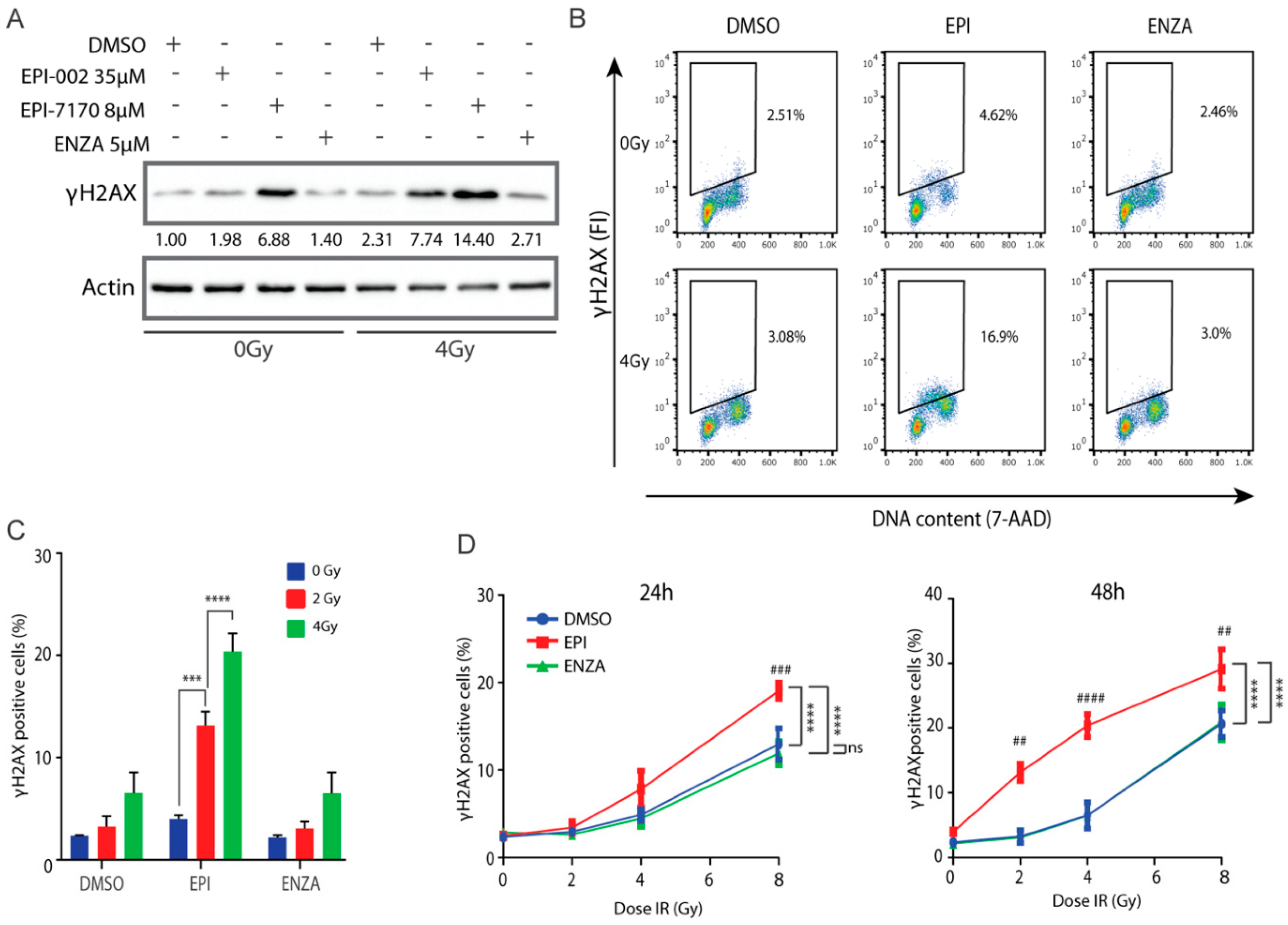 Cancers 12 01991 g006