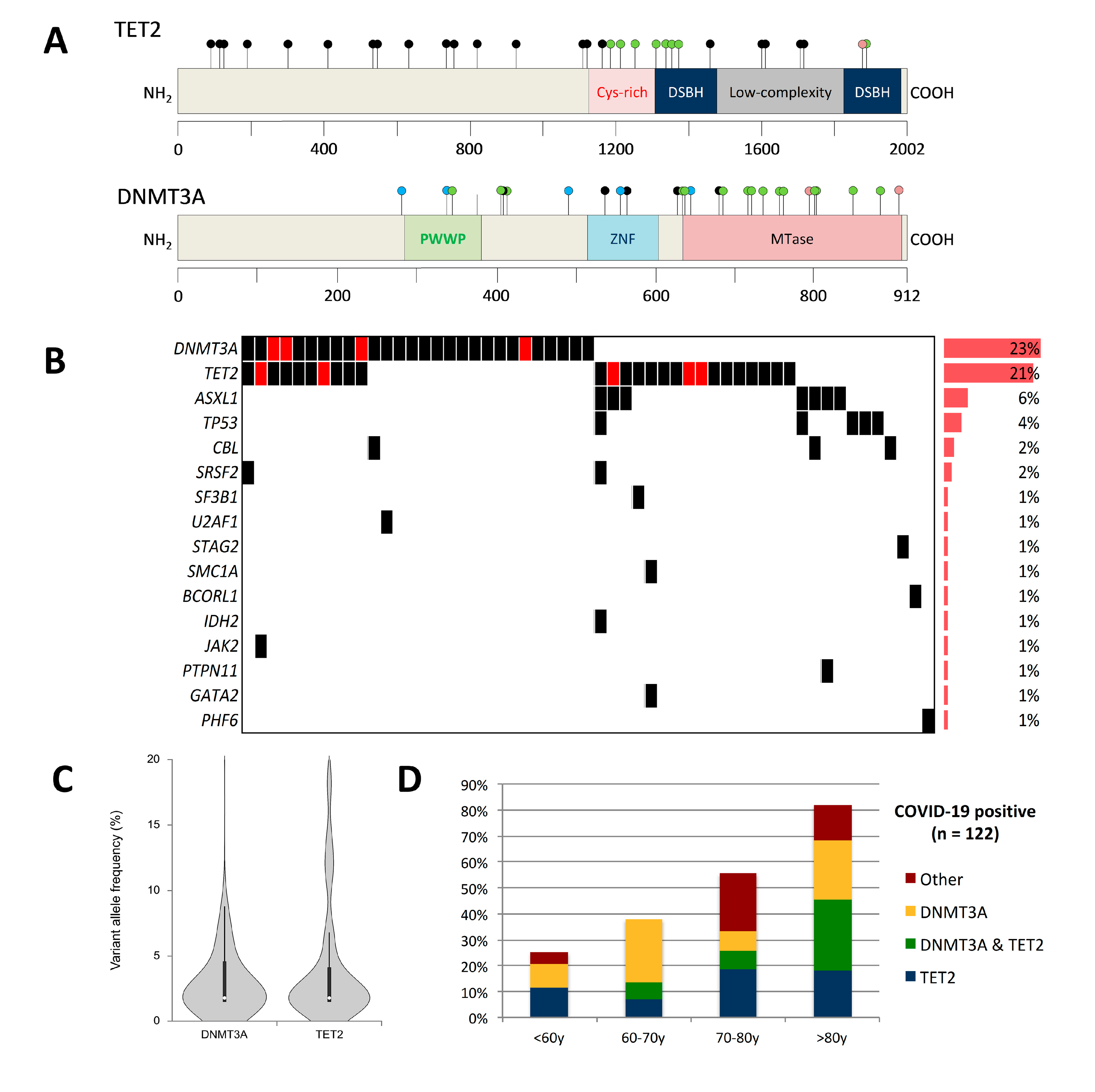 Cancers 12 01992 g002