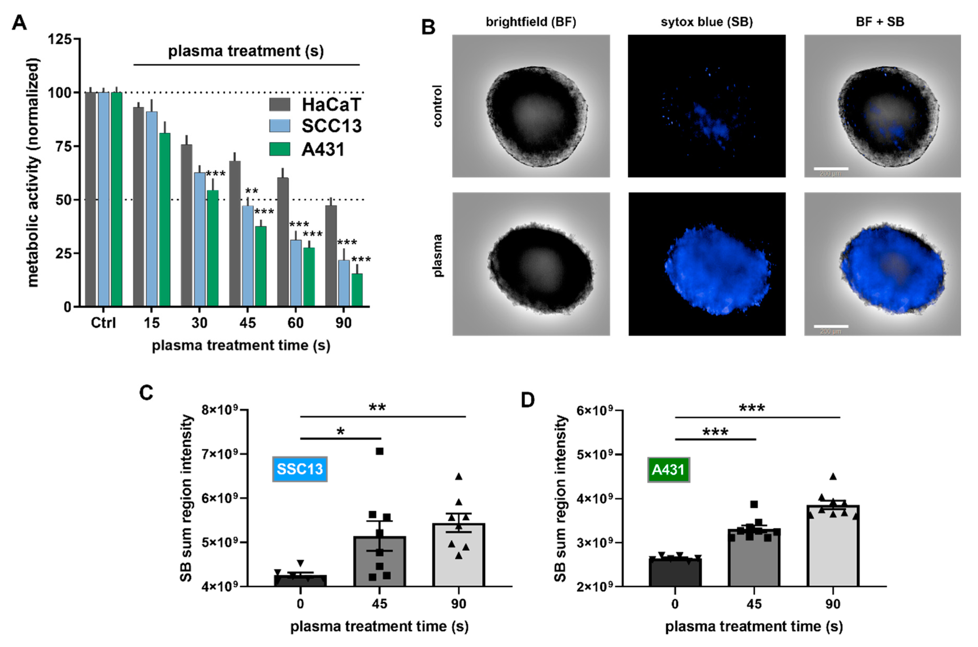 Cancers 12 01993 g001