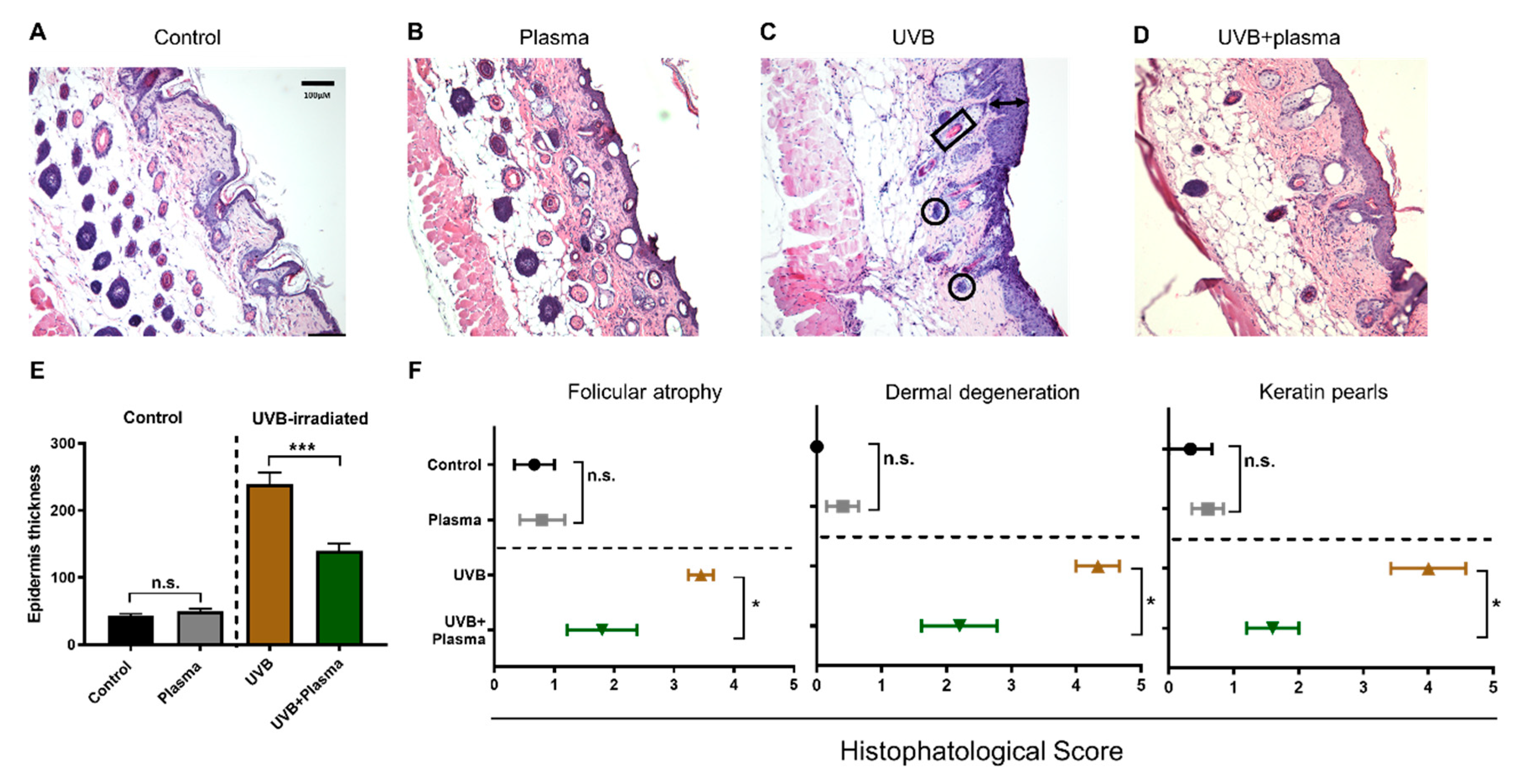Cancers 12 01993 g003