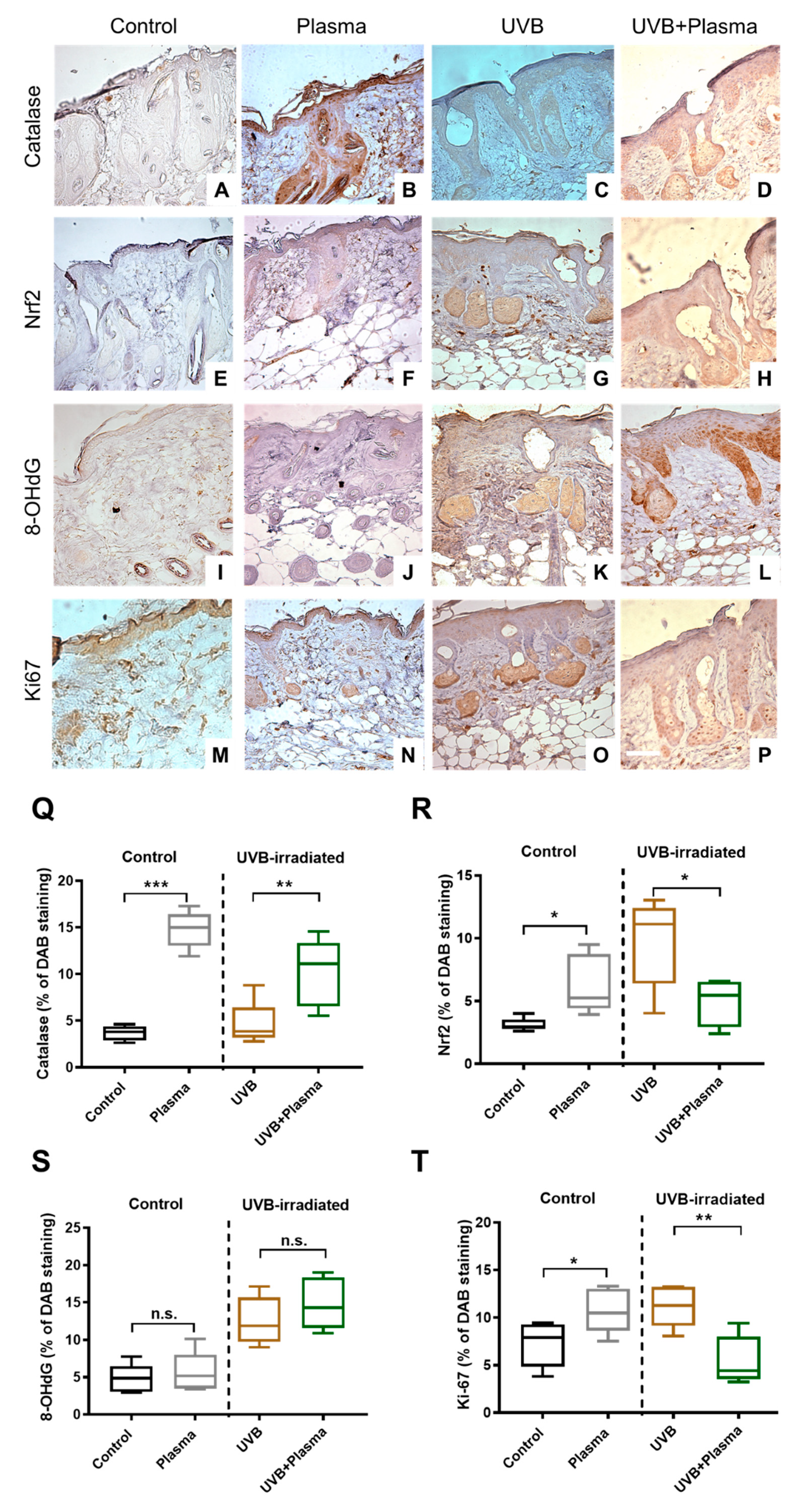 Cancers 12 01993 g004