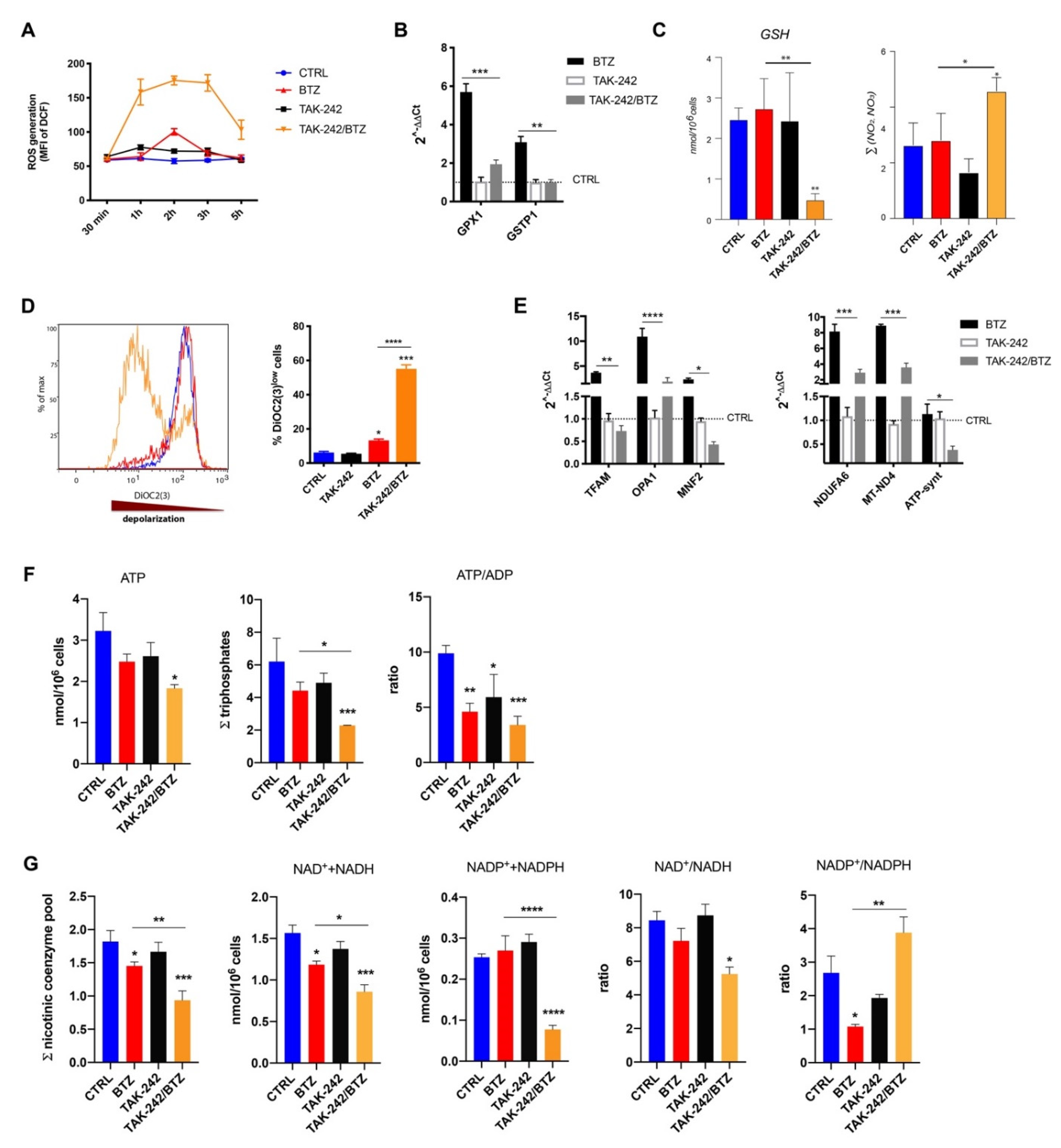 Cancers 12 01999 g004