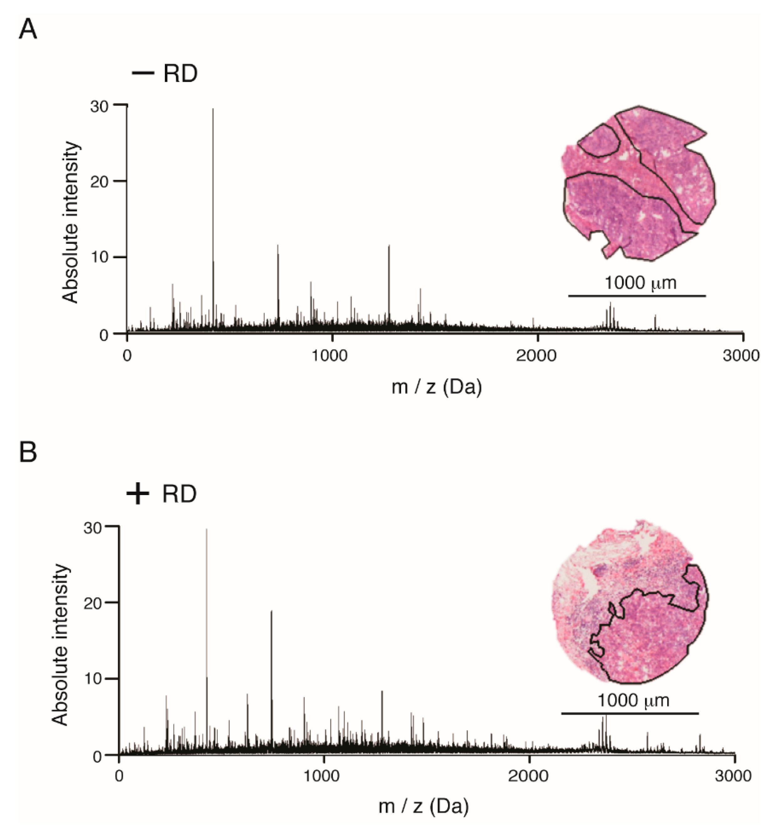 Cancers 12 02000 g001