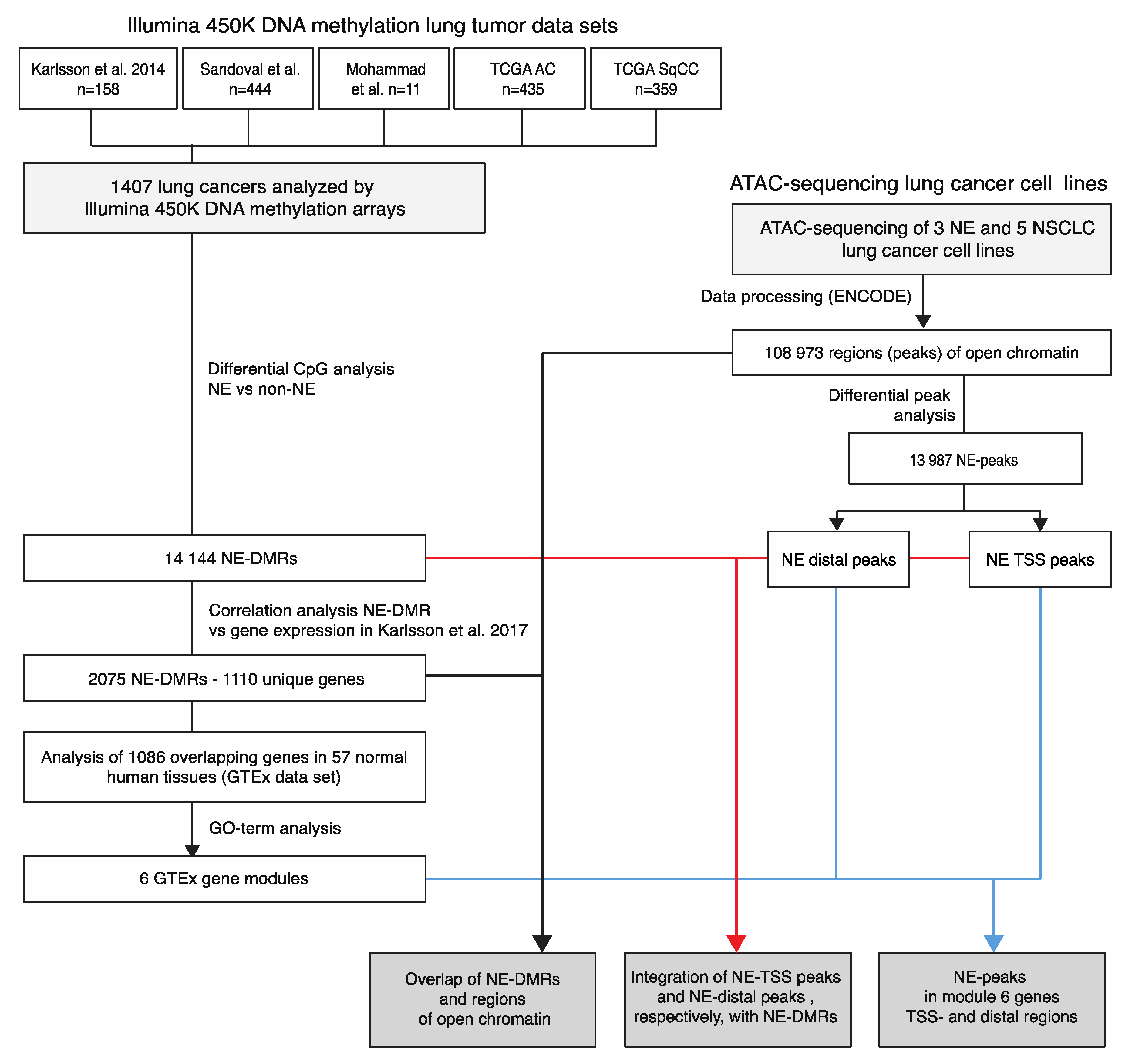 Cancers 12 02003 g001