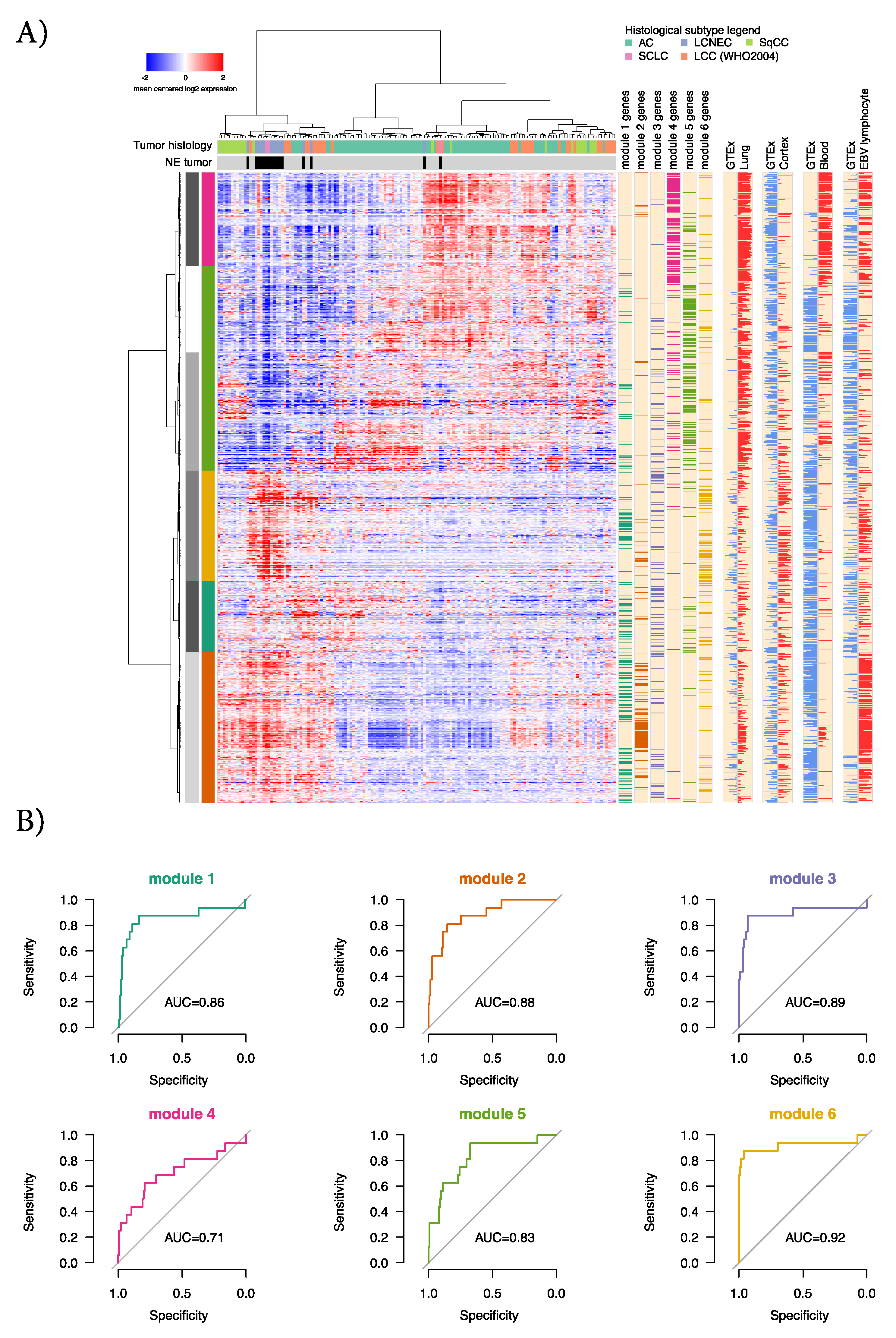 Cancers 12 02003 g003