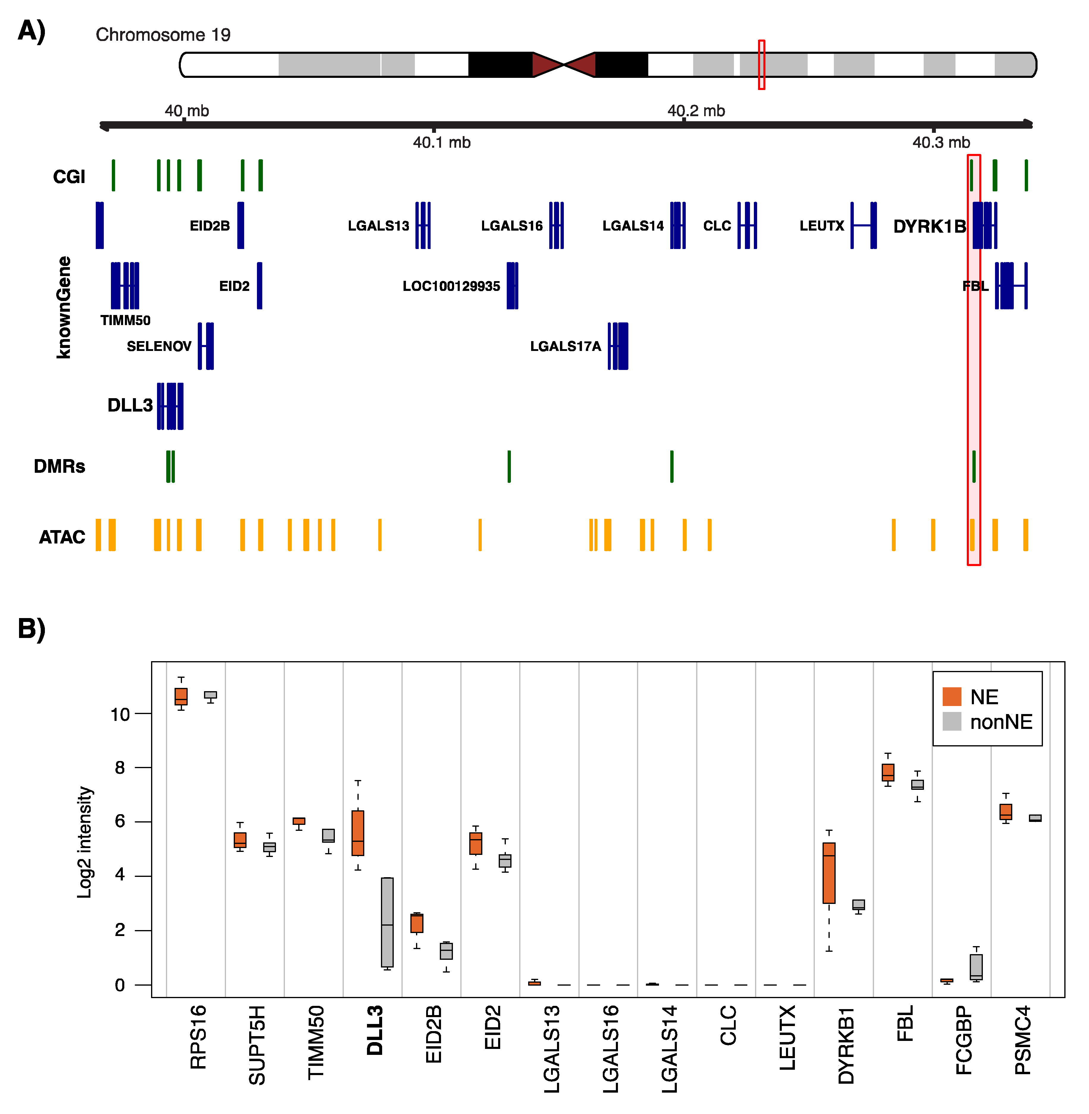 Cancers 12 02003 g006